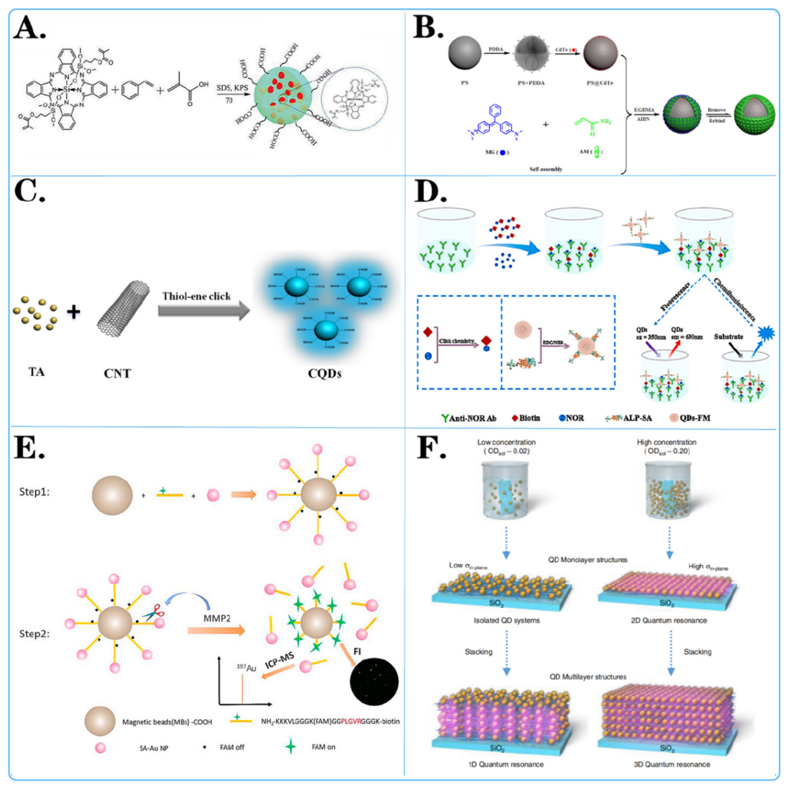 Biosensors 14 00265 g002