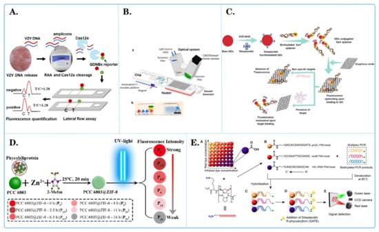 Biosensors 14 00265 g003