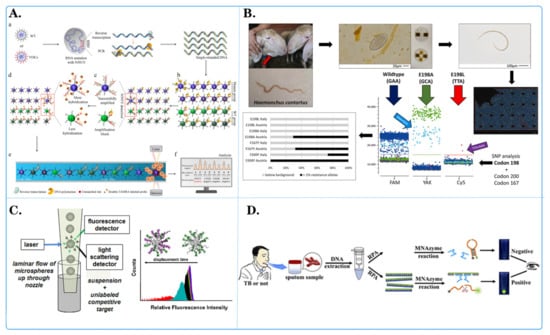Biosensors 14 00265 g004