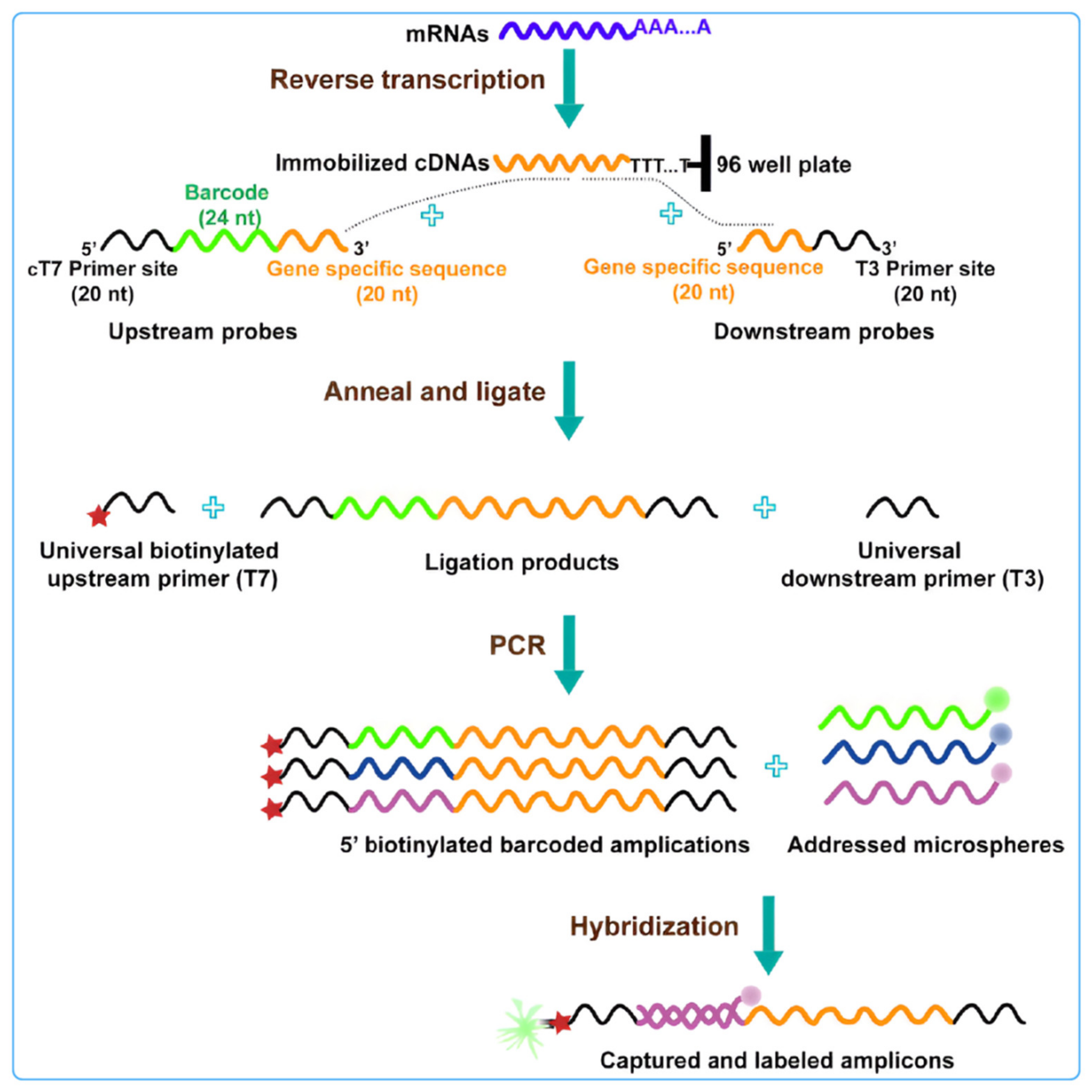 Biosensors 14 00265 g005