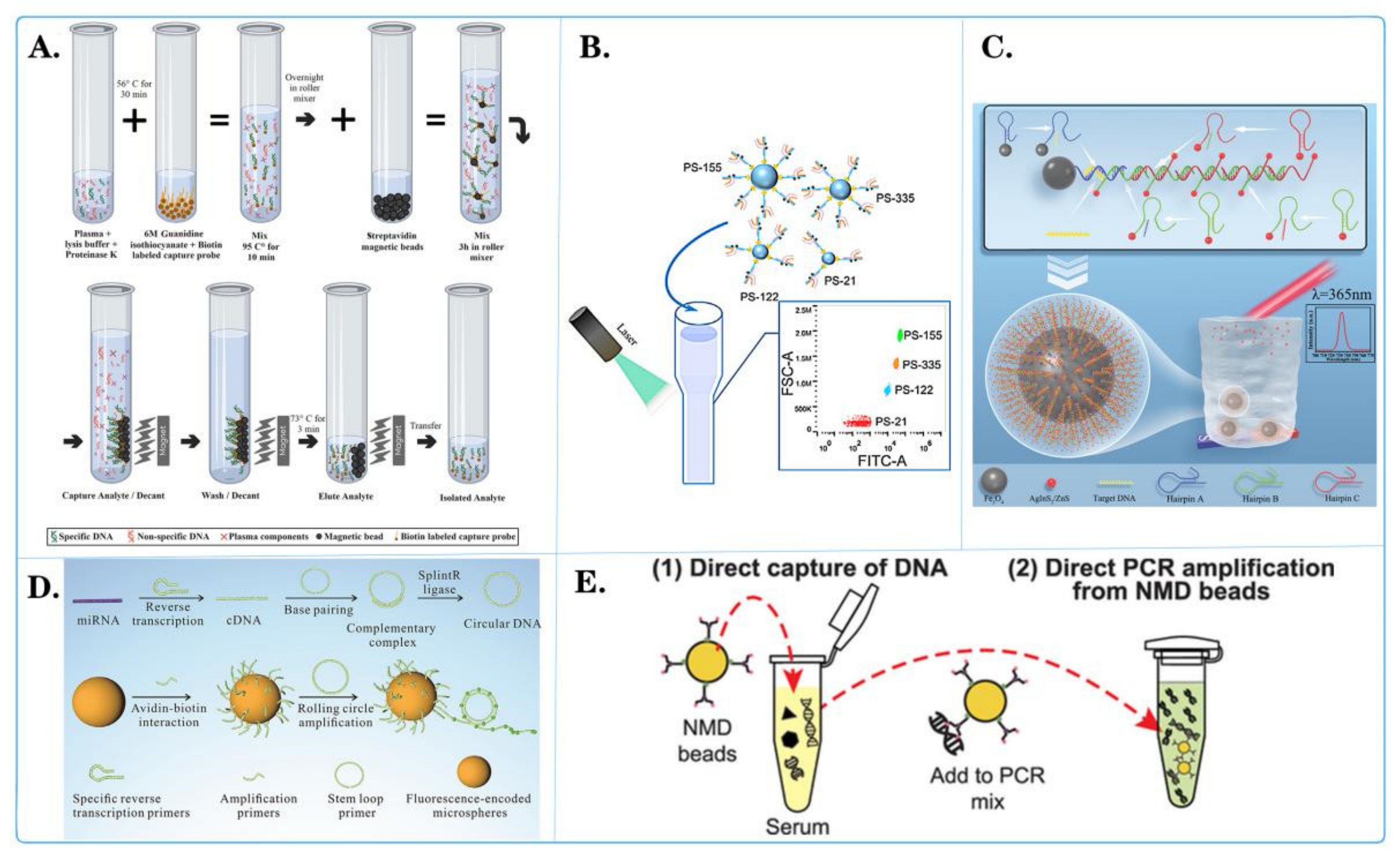 Biosensors 14 00265 g006