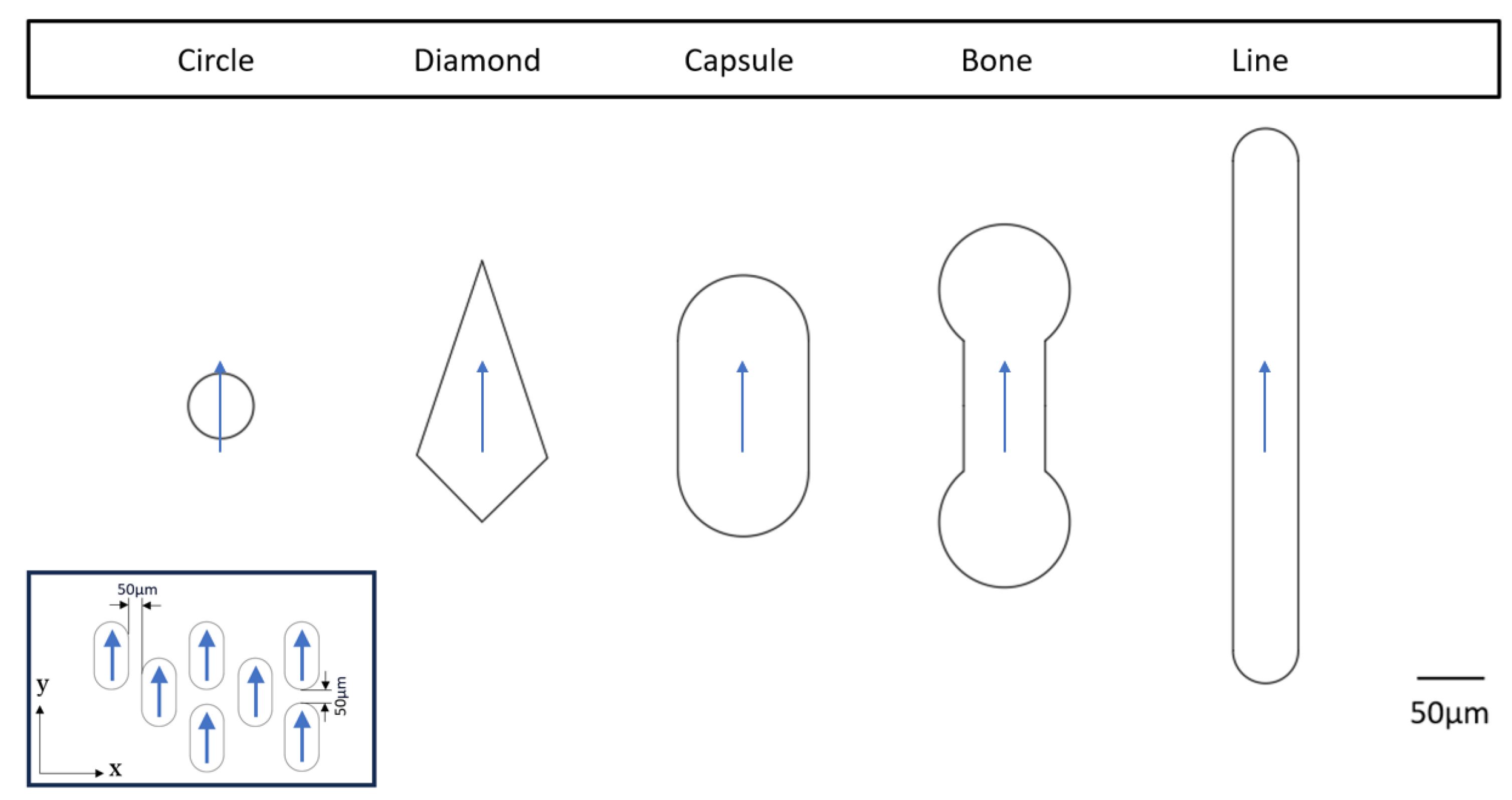 Biosensors 14 00266 g003