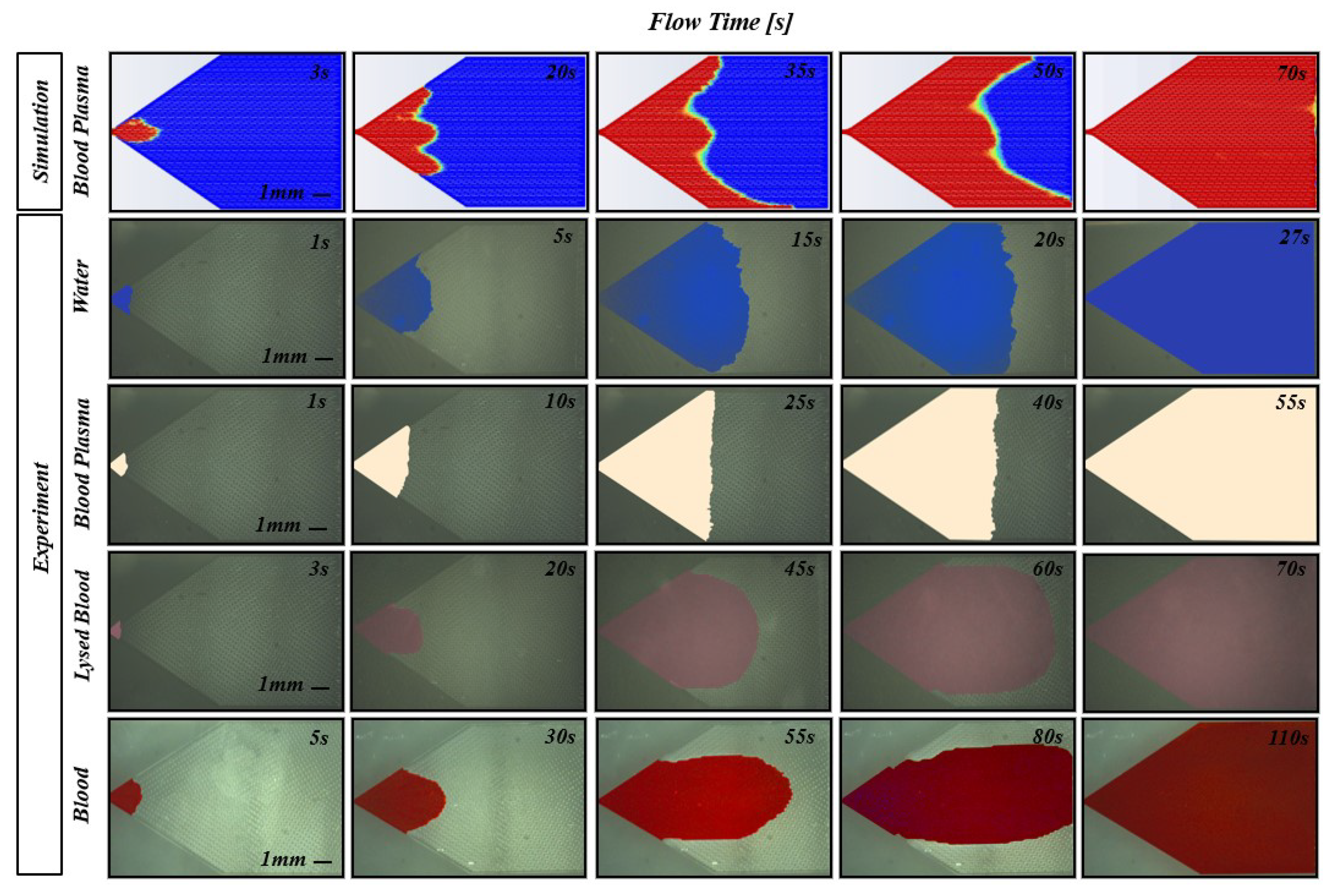 Biosensors 14 00266 g007