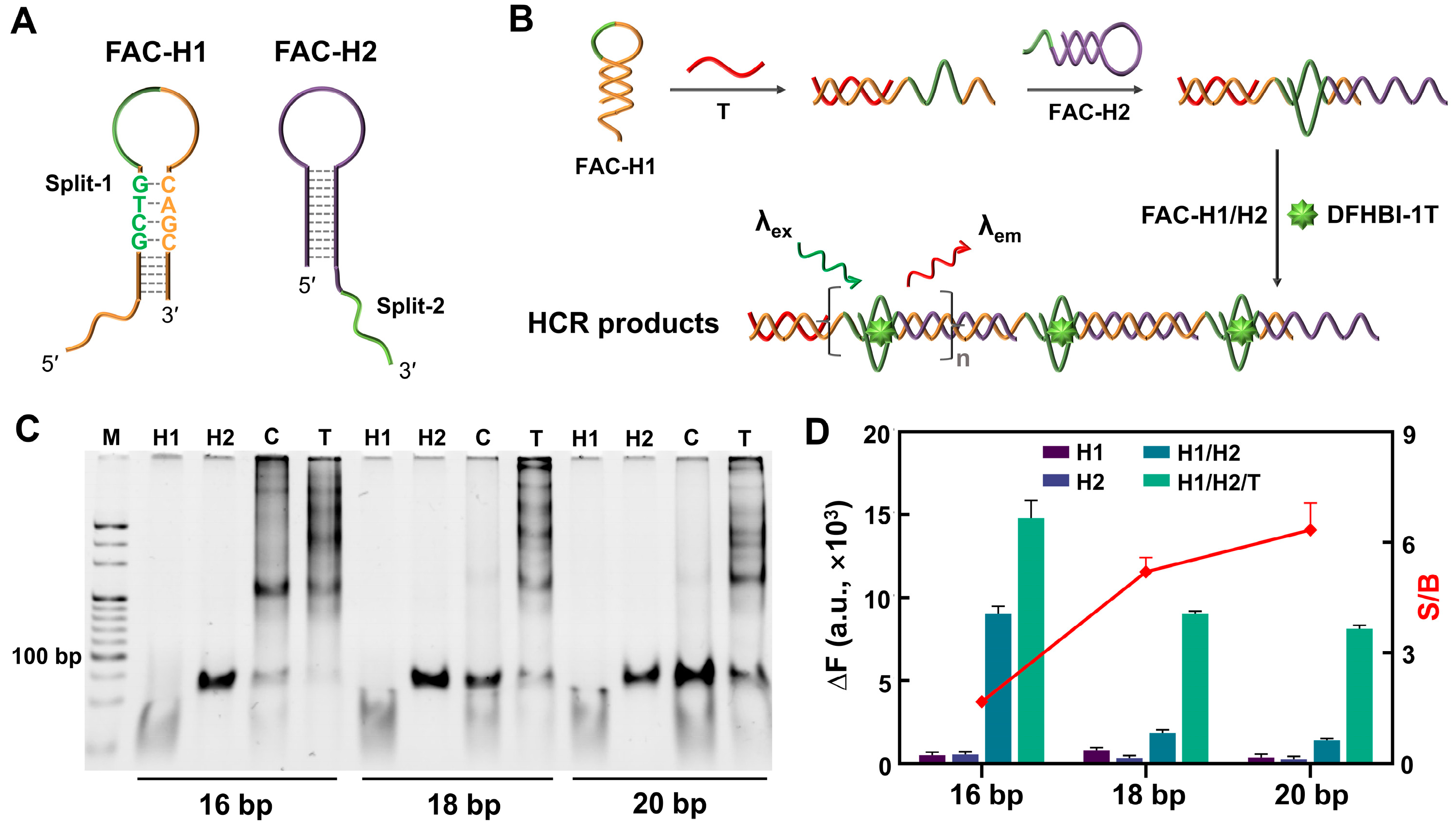 Biosensors 14 00274 g003