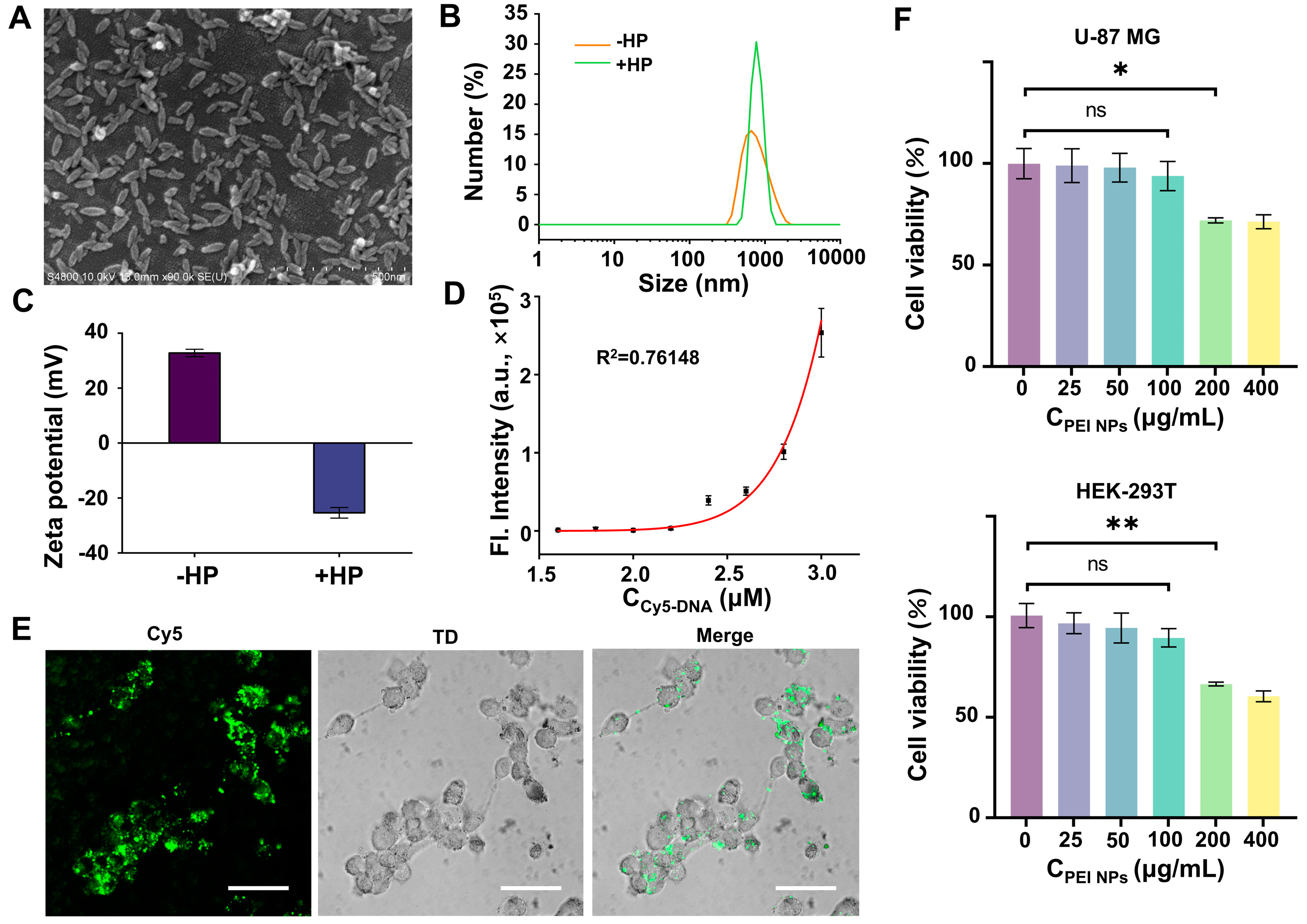 Biosensors 14 00274 g005