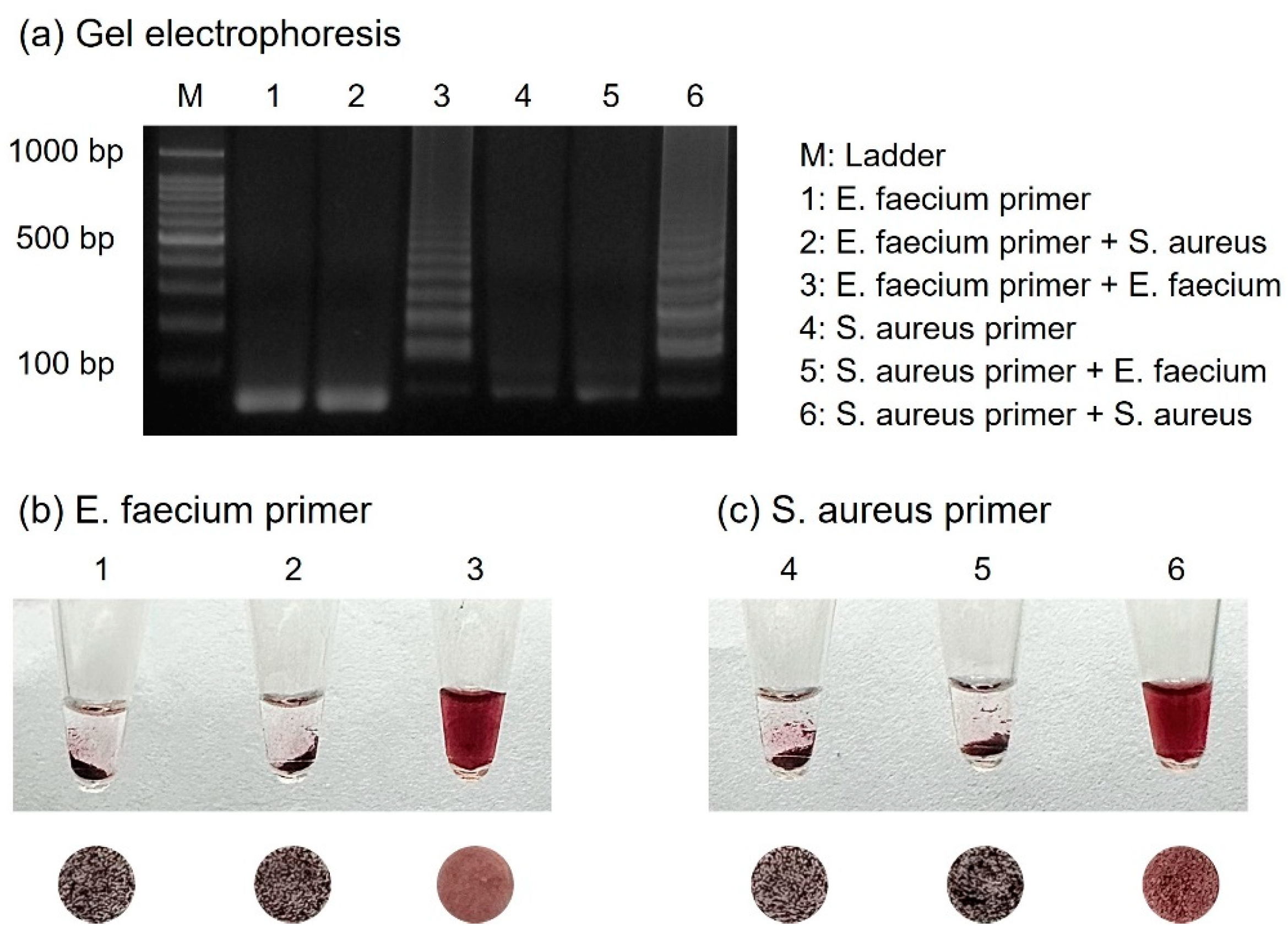 Biosensors 14 00284 g006