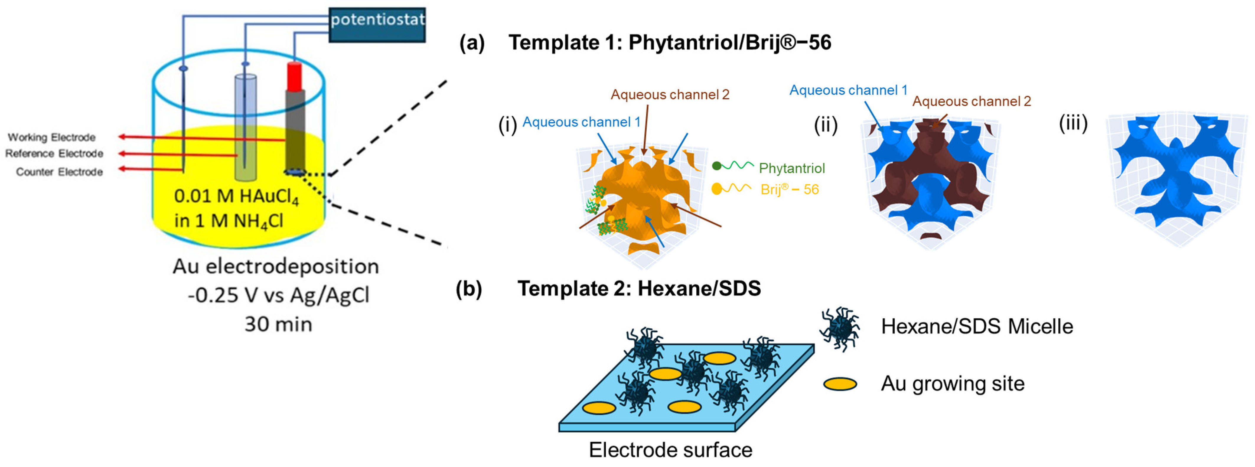 Biosensors 14 00289 g001