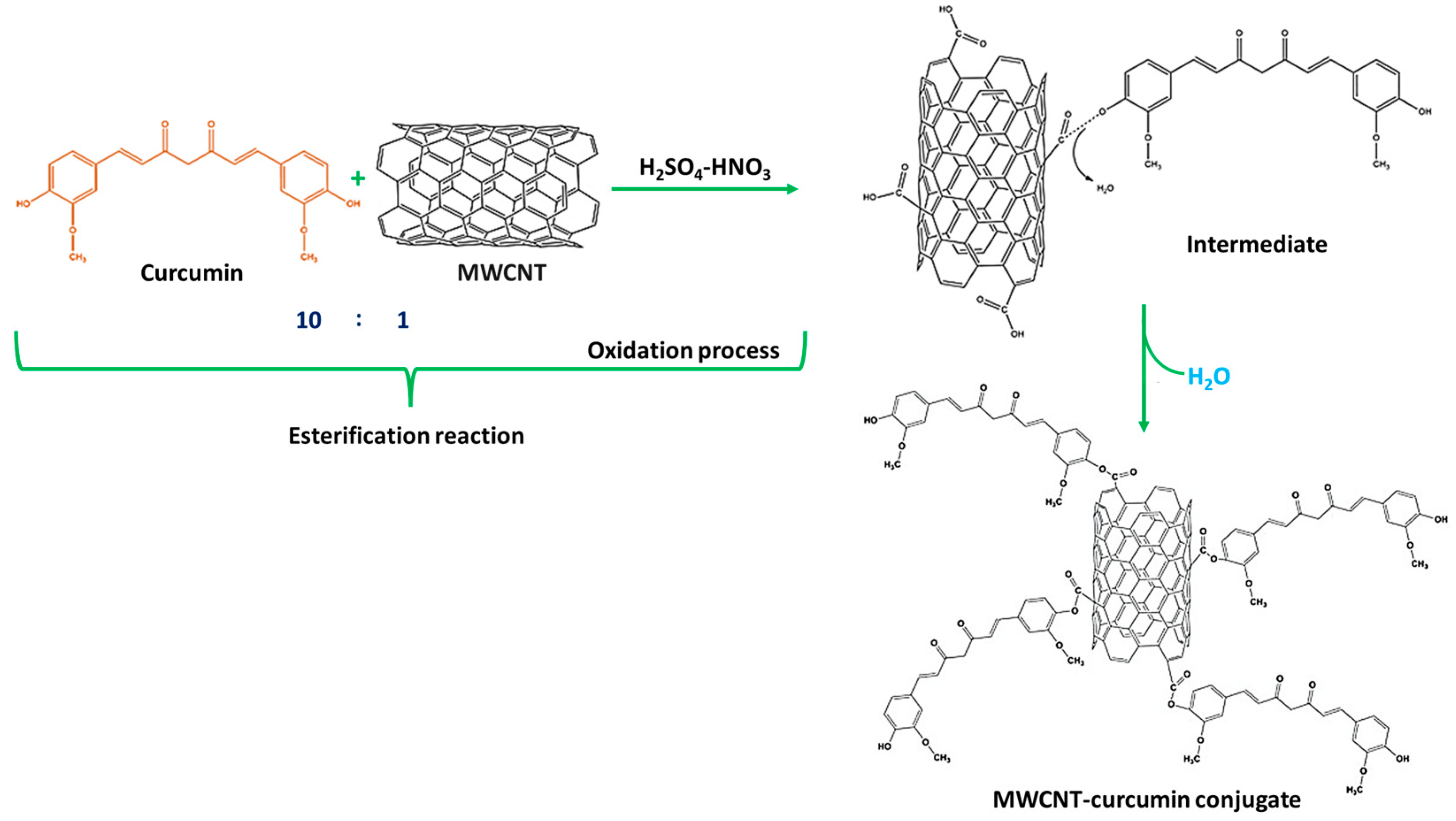 Biosensors 14 00291 g003
