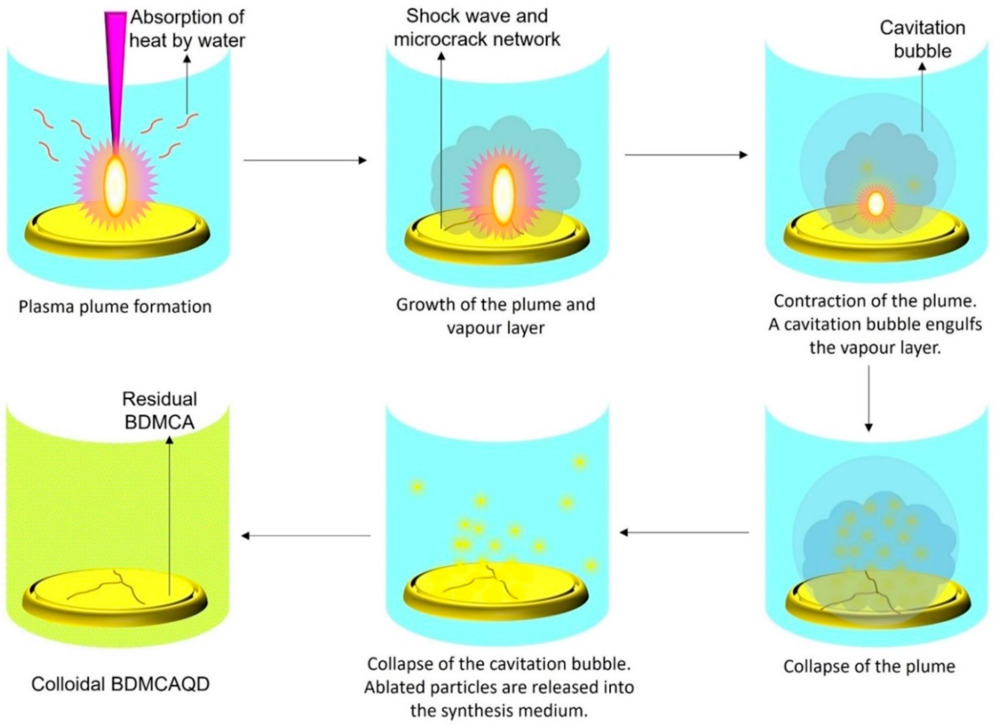 Biosensors 14 00291 g004