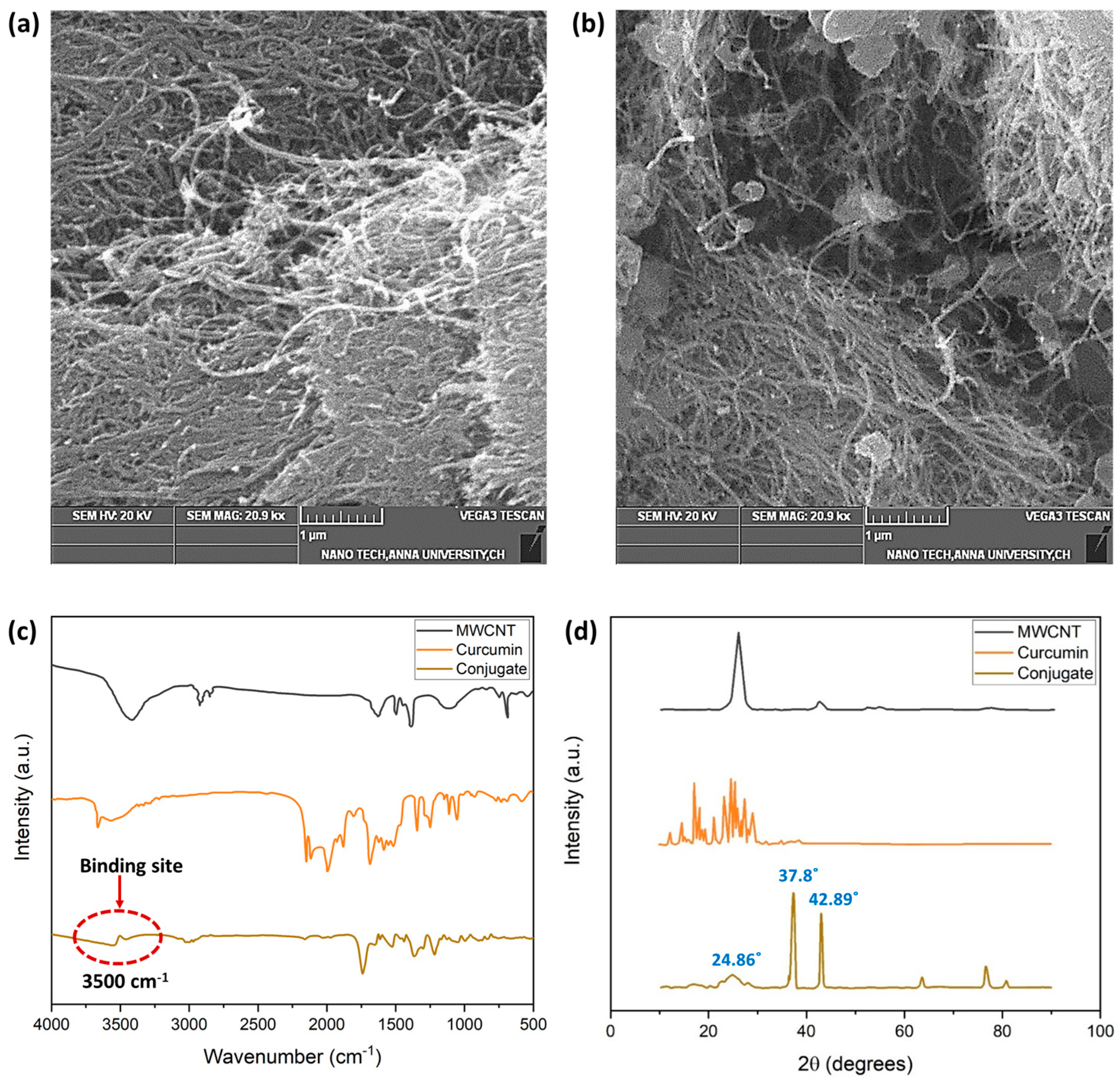 Biosensors 14 00291 g005