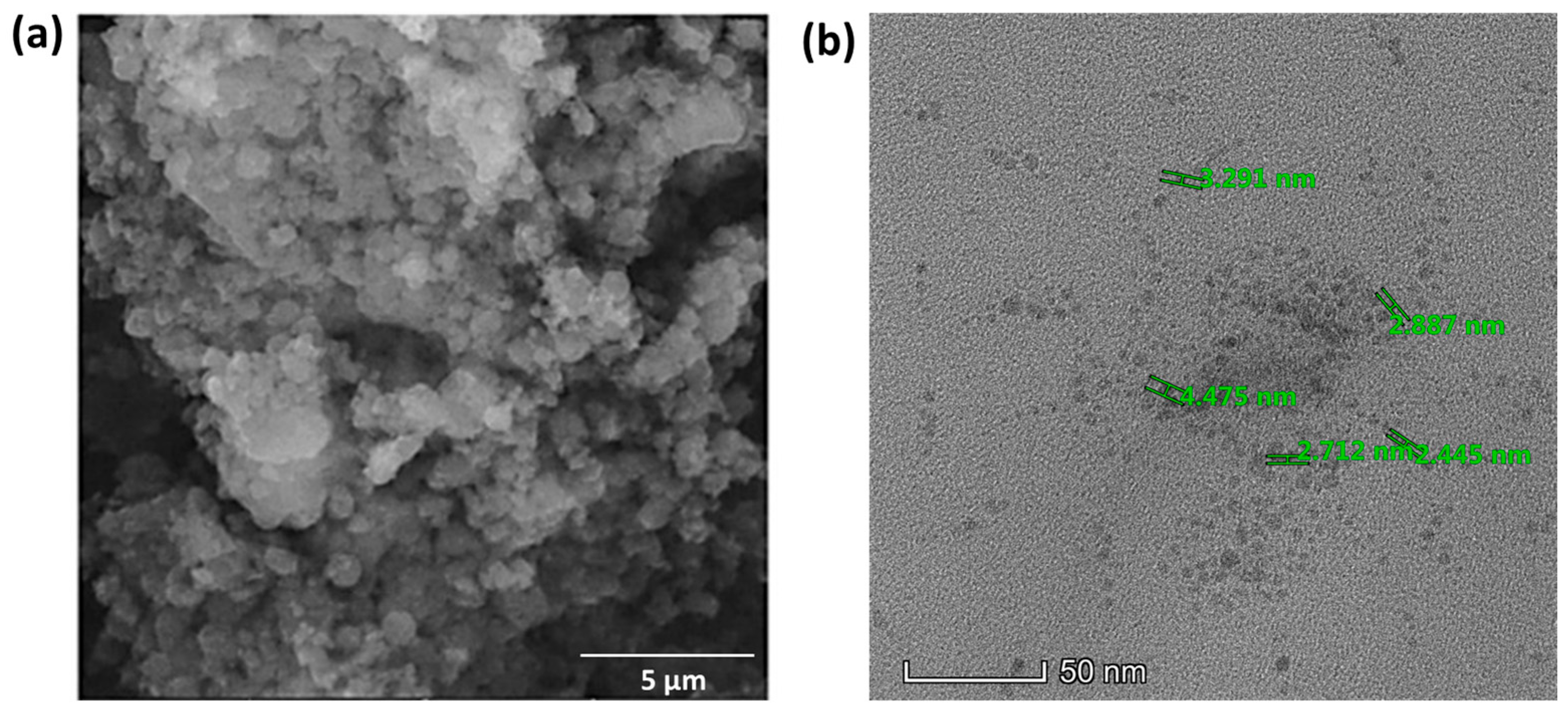 Biosensors 14 00291 g006