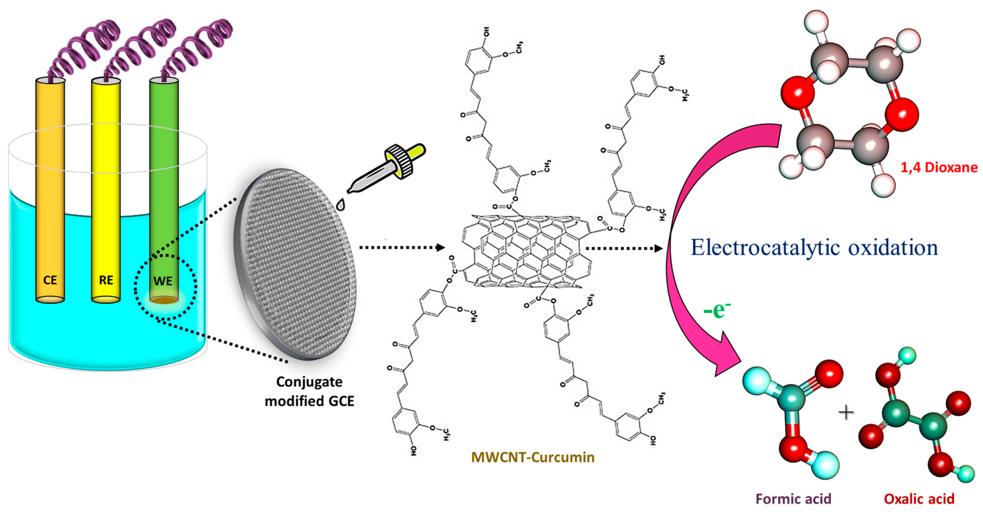 Biosensors 14 00291 g010
