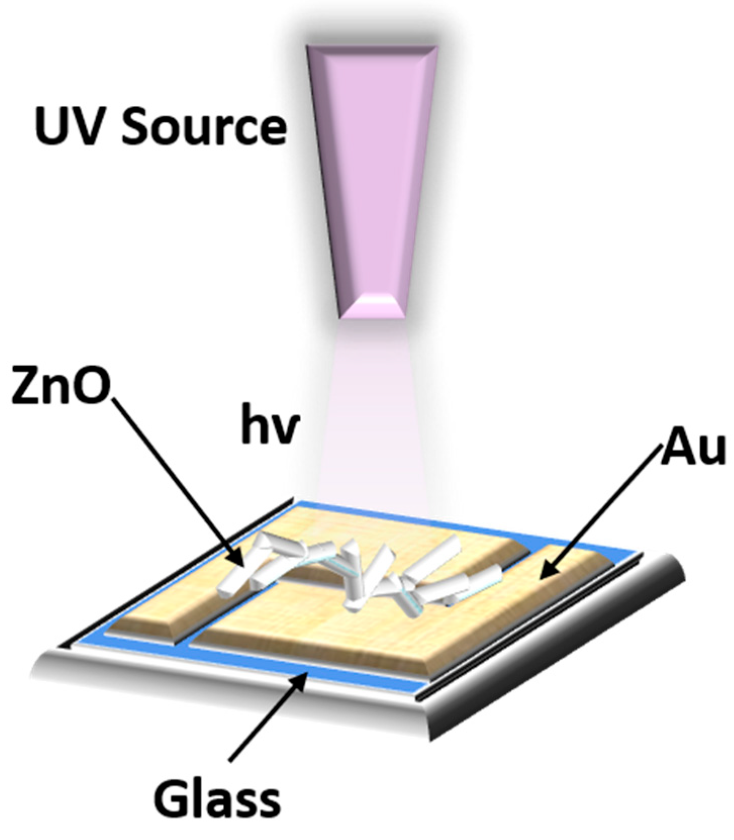 Biosensors 14 00293 g001