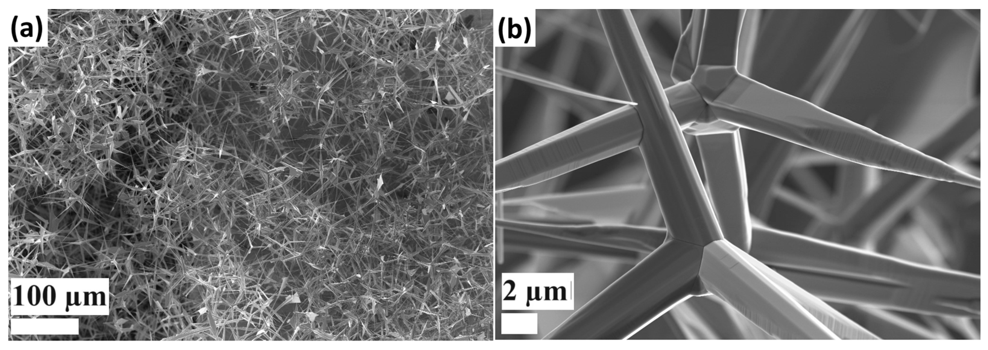 Biosensors 14 00293 g003