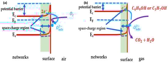 Biosensors 14 00293 g0a1