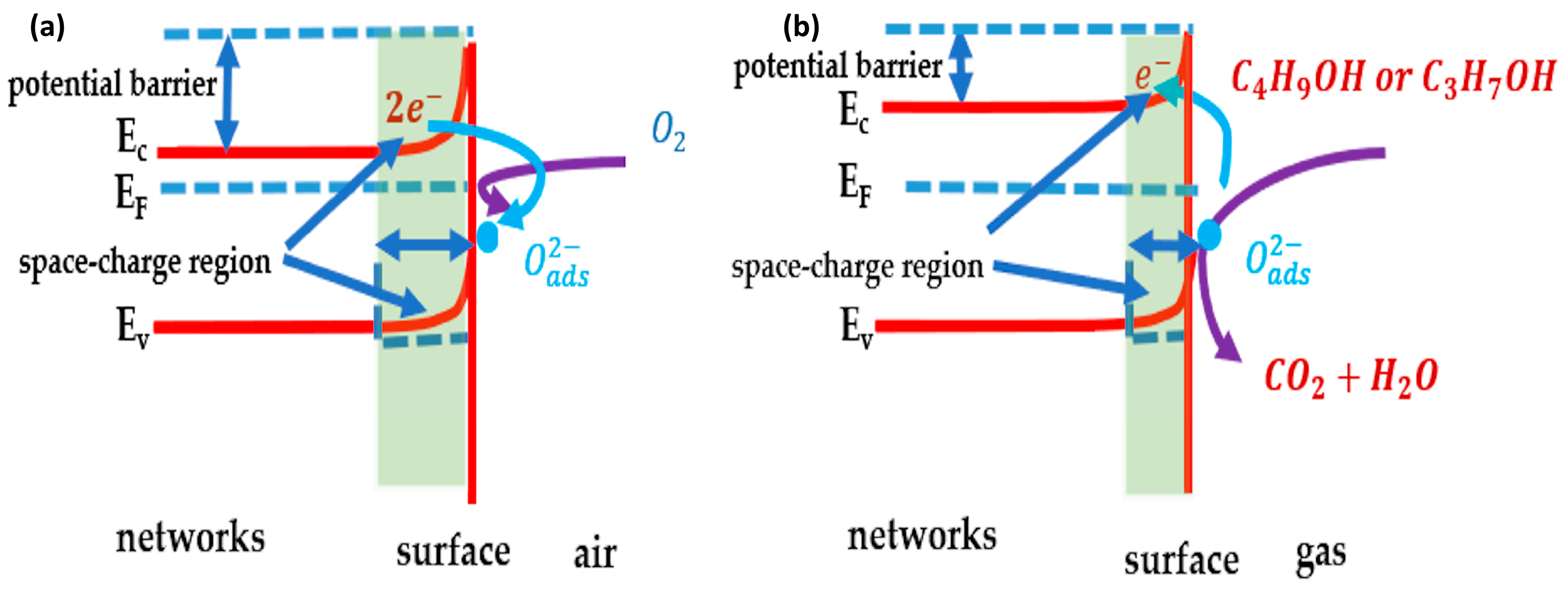 Biosensors 14 00293 g0a1