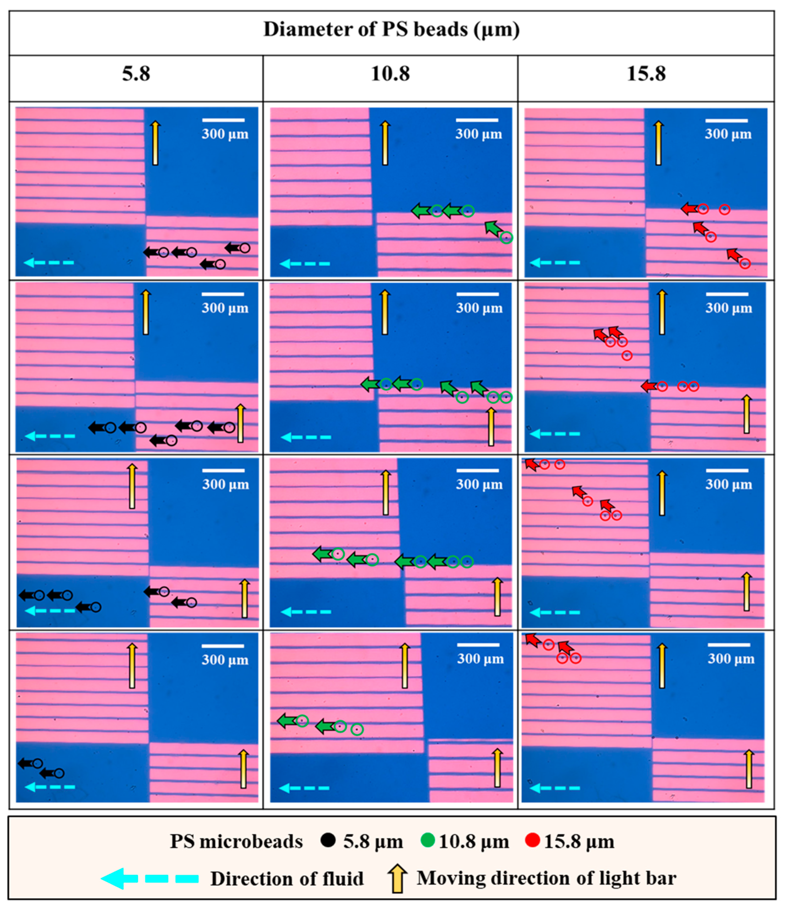 Biosensors 14 00297 g004