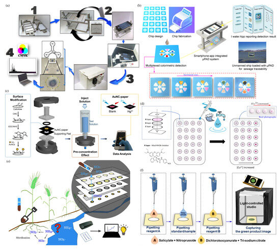 Biosensors 14 00300 g009