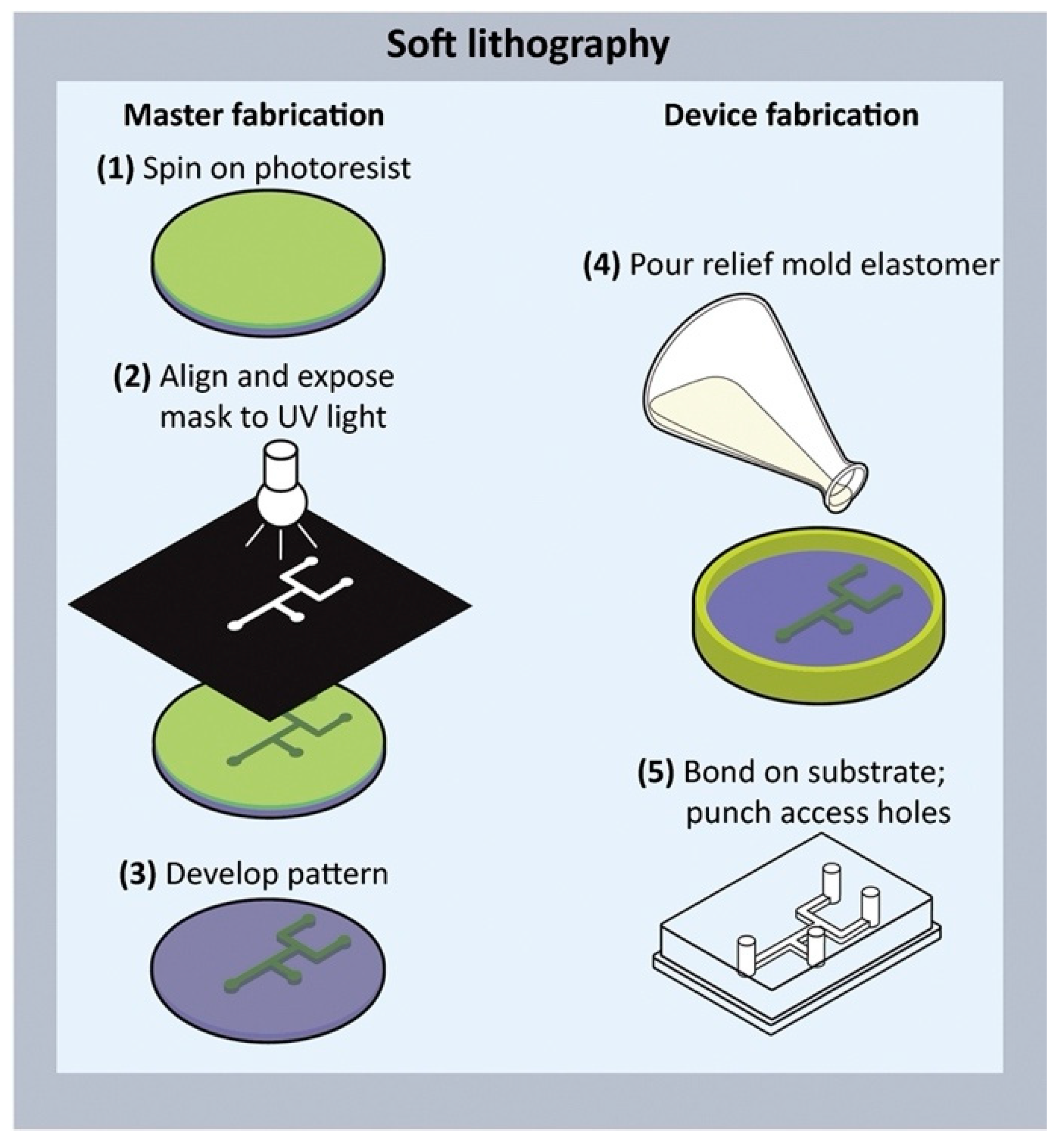Biosensors 14 00301 g001