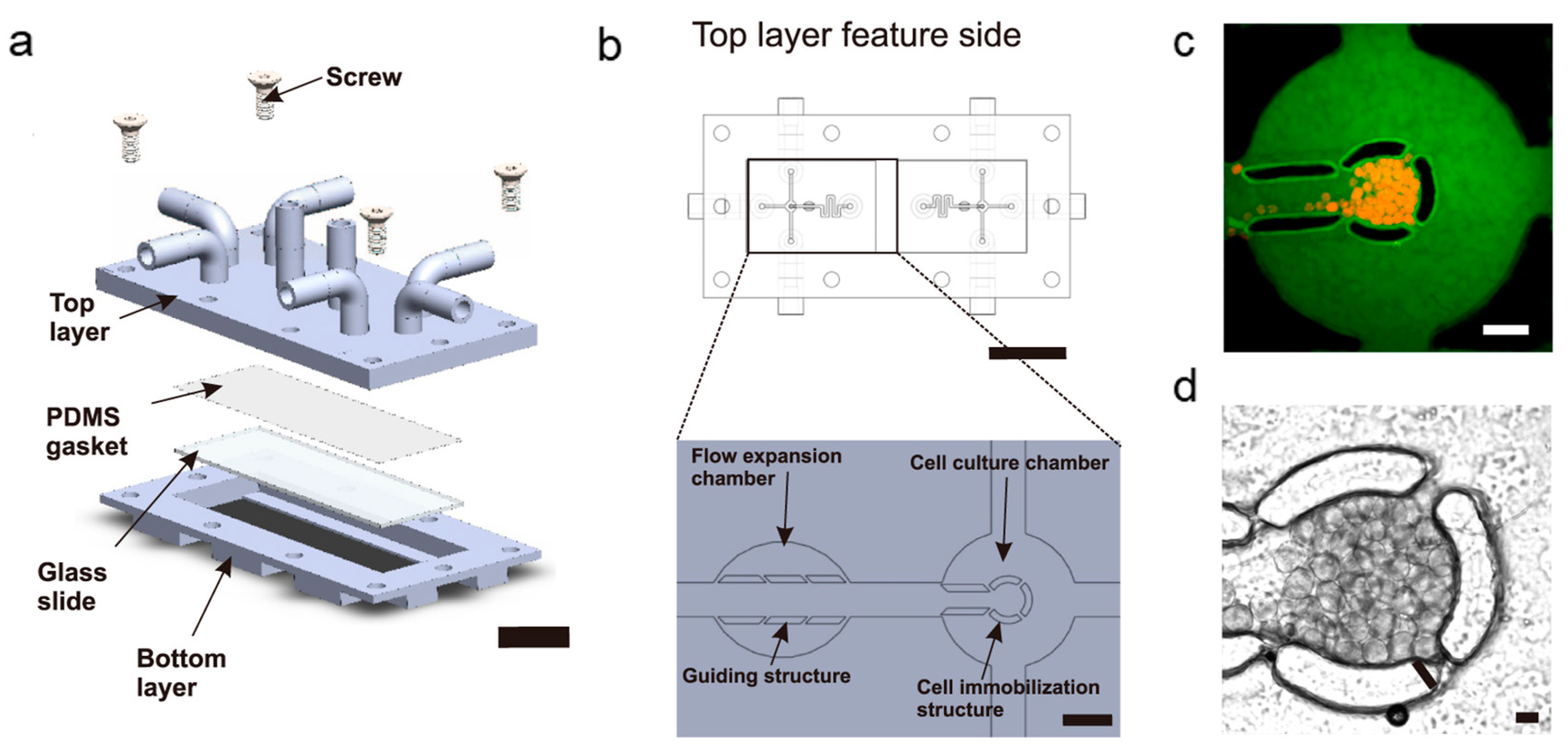 Biosensors 14 00301 g003