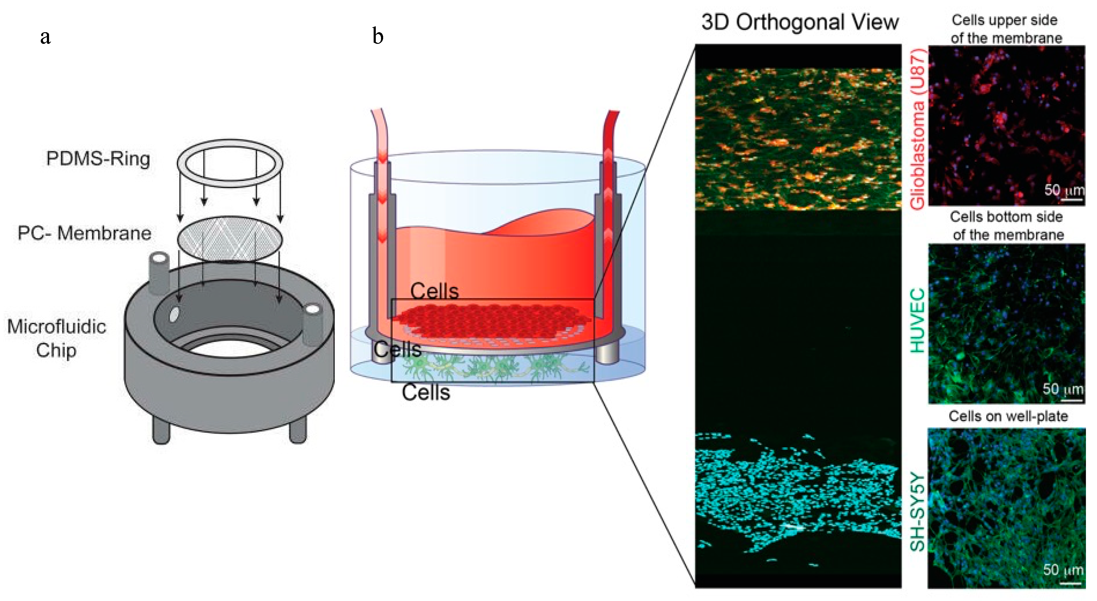Biosensors 14 00301 g005