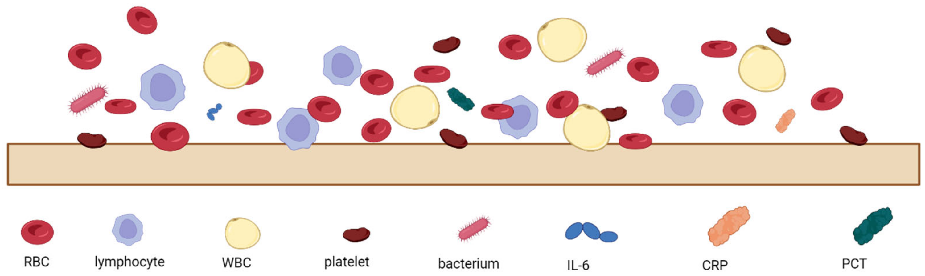 Biosensors 14 00309 g002 Biosensors 14 00309 g002