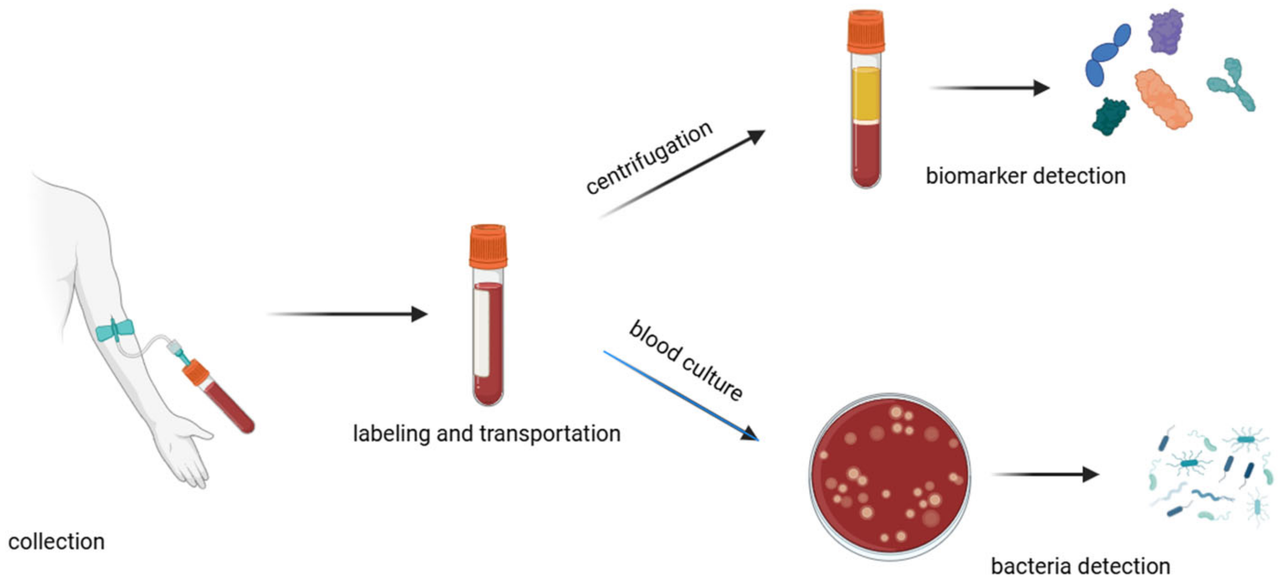 Biosensors 14 00309 g003 Biosensors 14 00309 g003