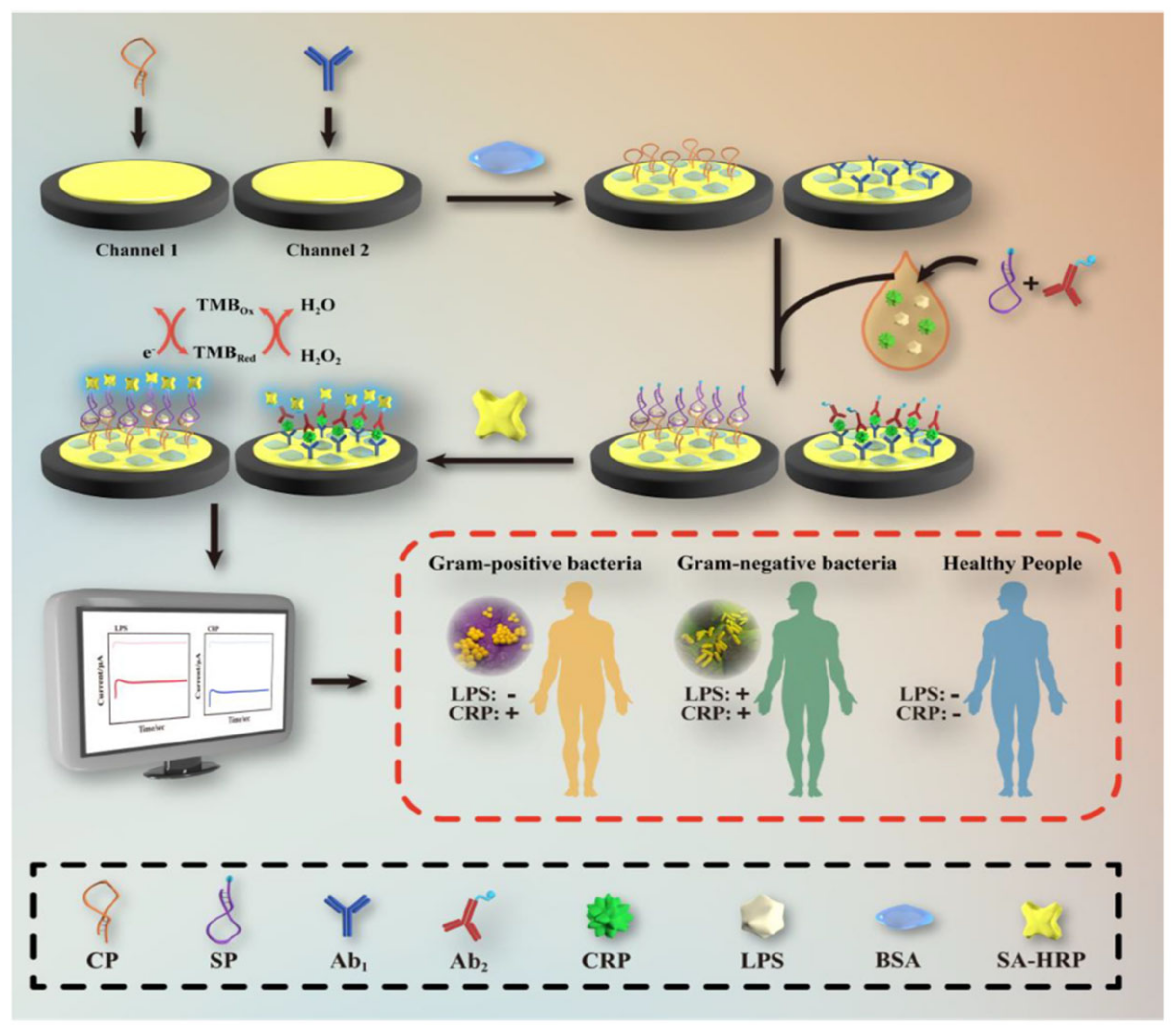 Biosensors 14 00309 g007 Biosensors 14 00309 g007