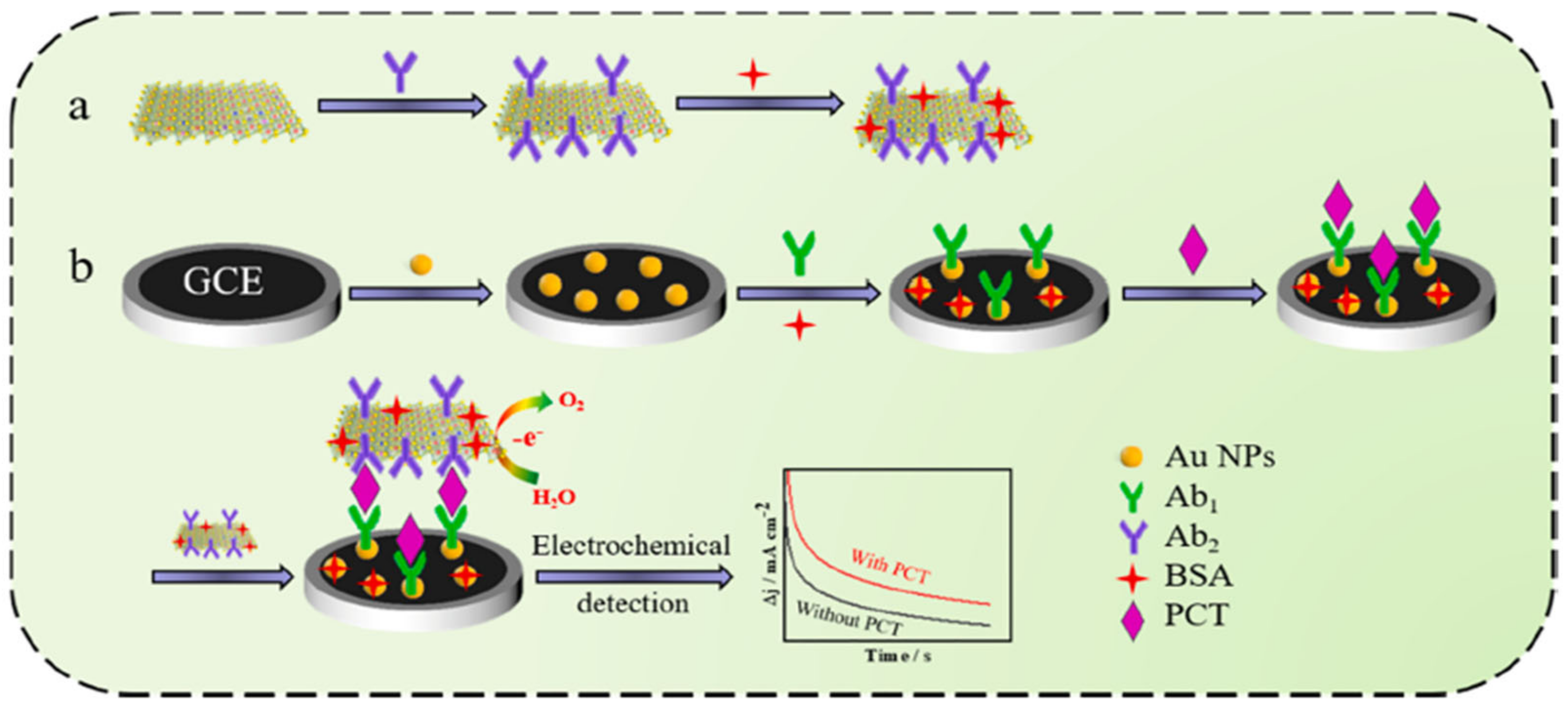 Biosensors 14 00309 g008 Biosensors 14 00309 g008