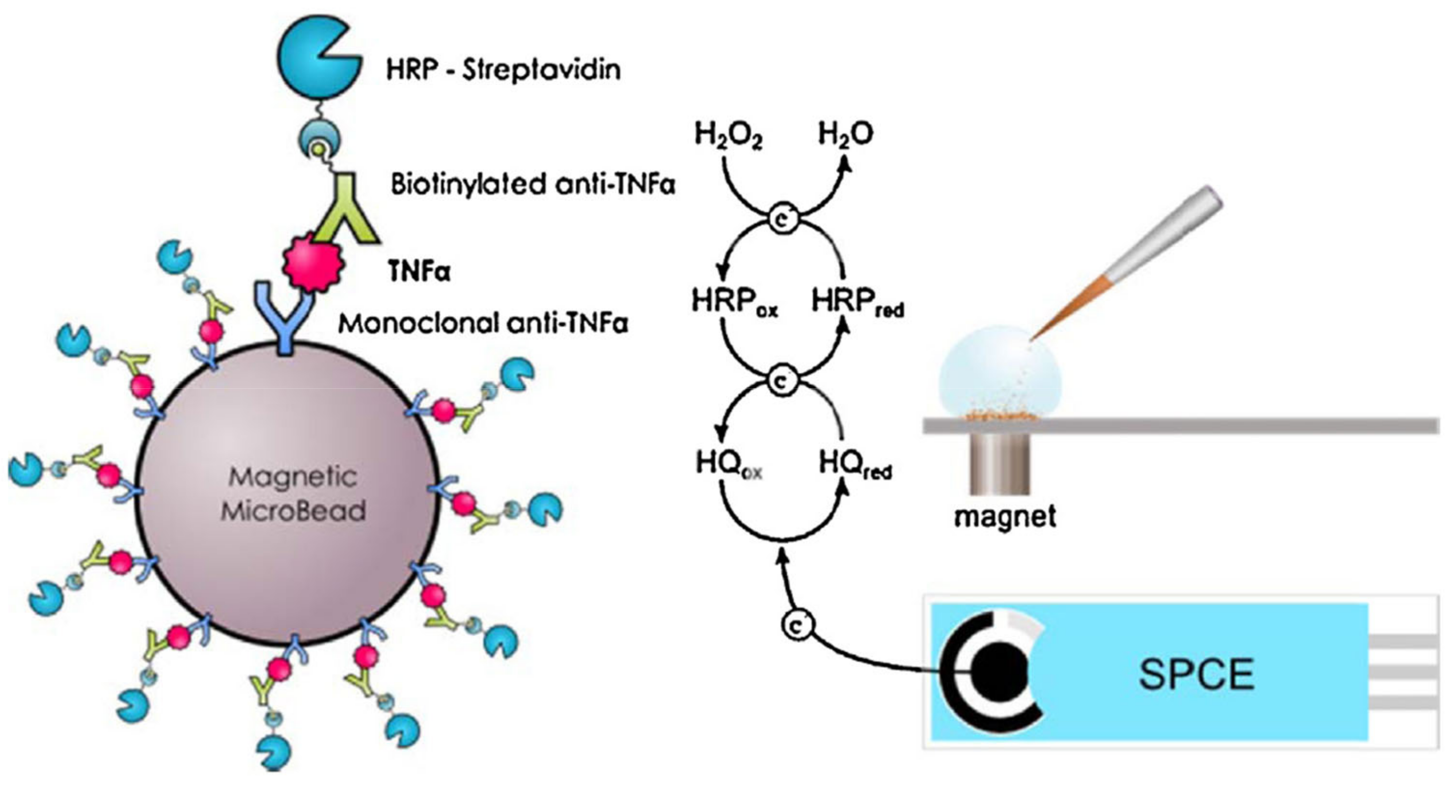 Biosensors 14 00309 g009 Biosensors 14 00309 g009
