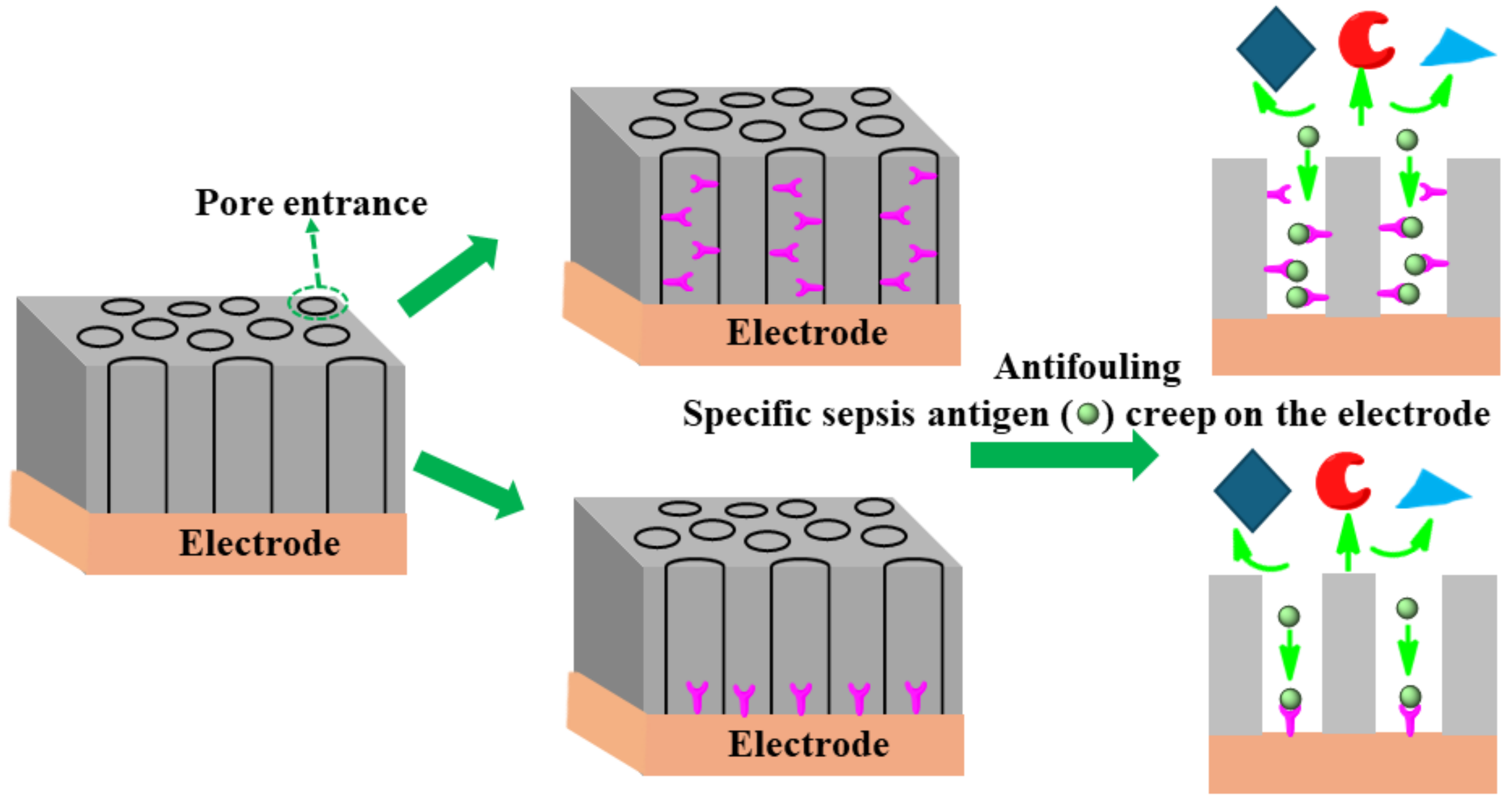 Biosensors 14 00309 g012 Biosensors 14 00309 g012