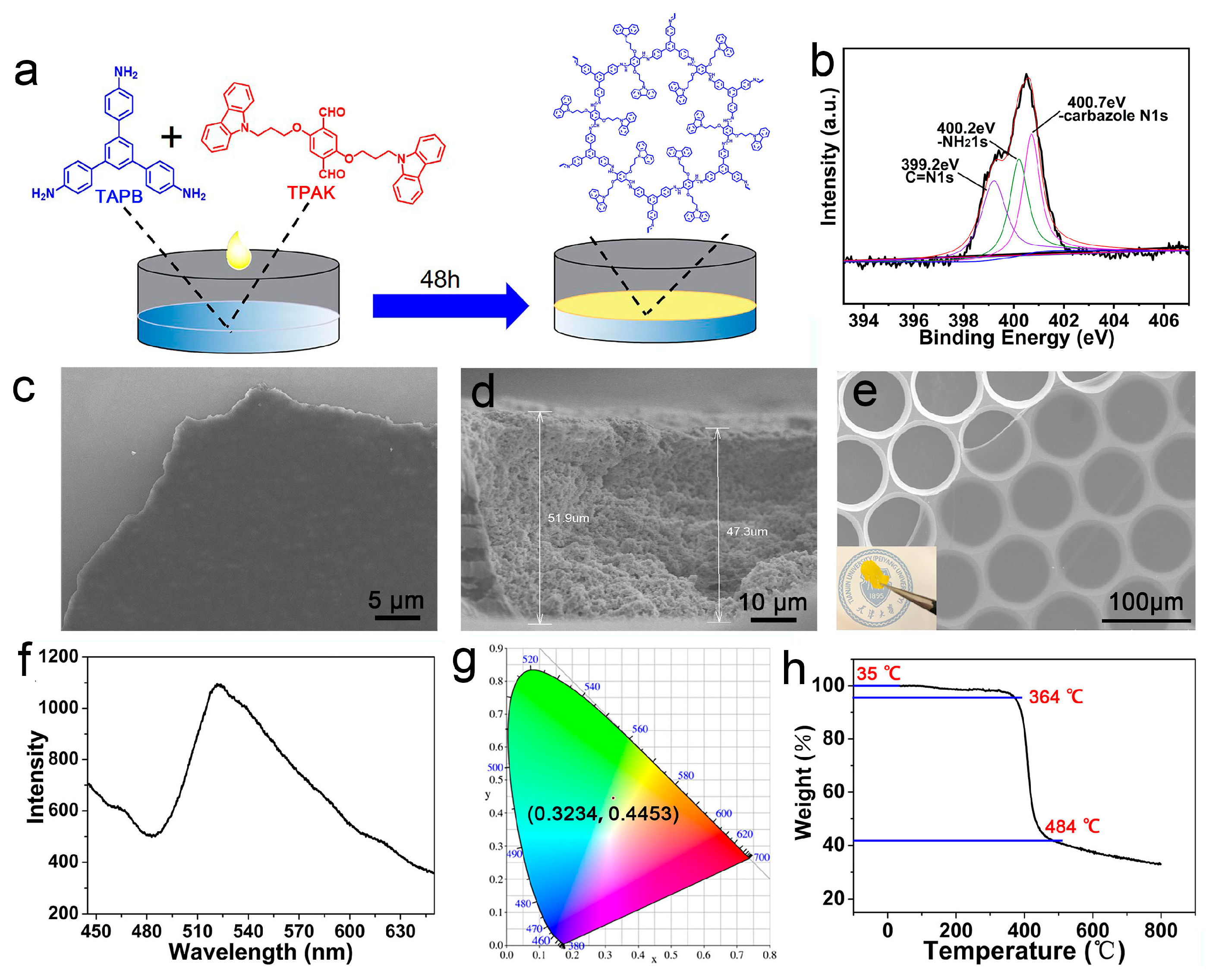 Biosensors 14 00312 g001