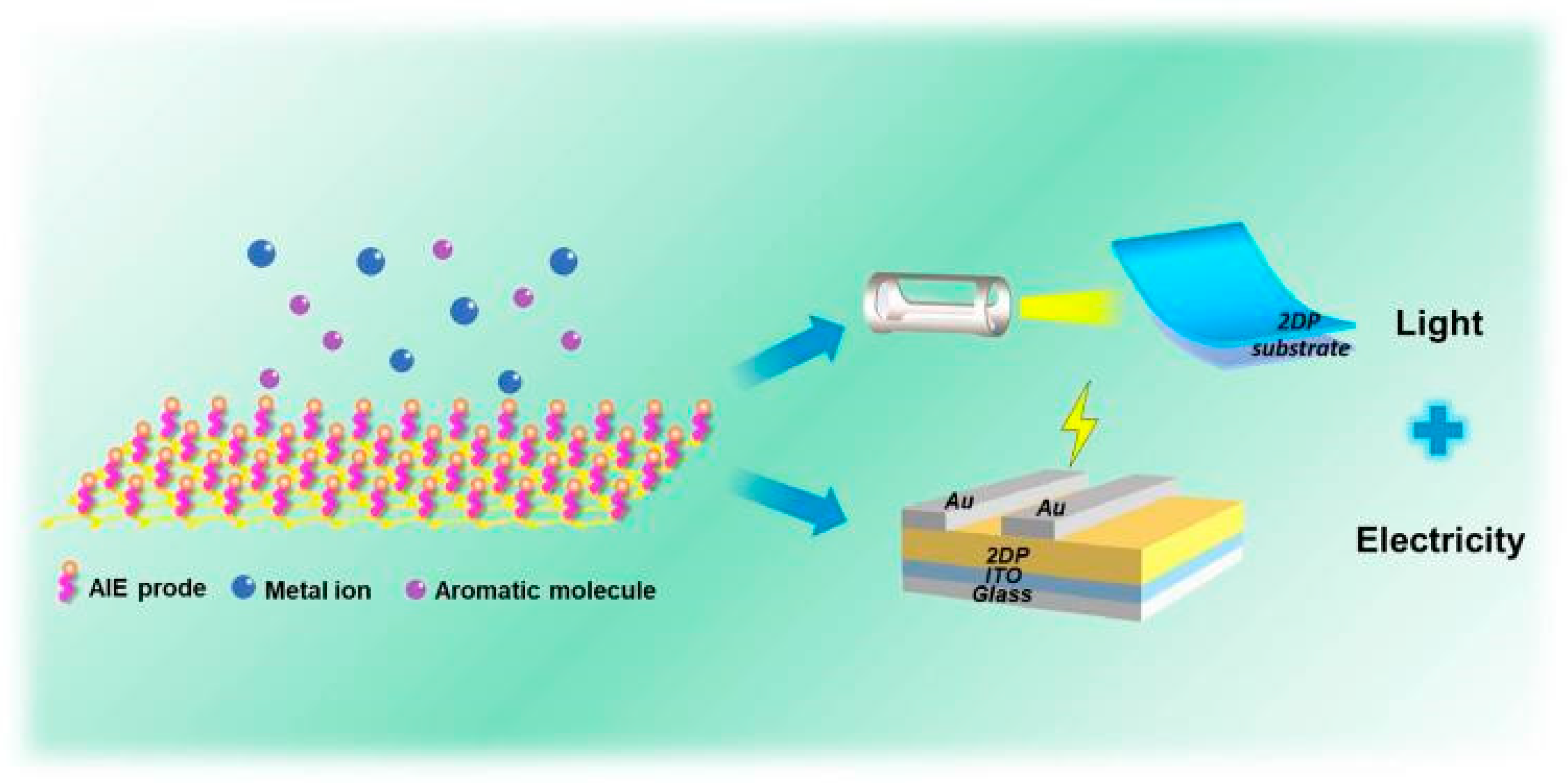 Biosensors 14 00312 sch001