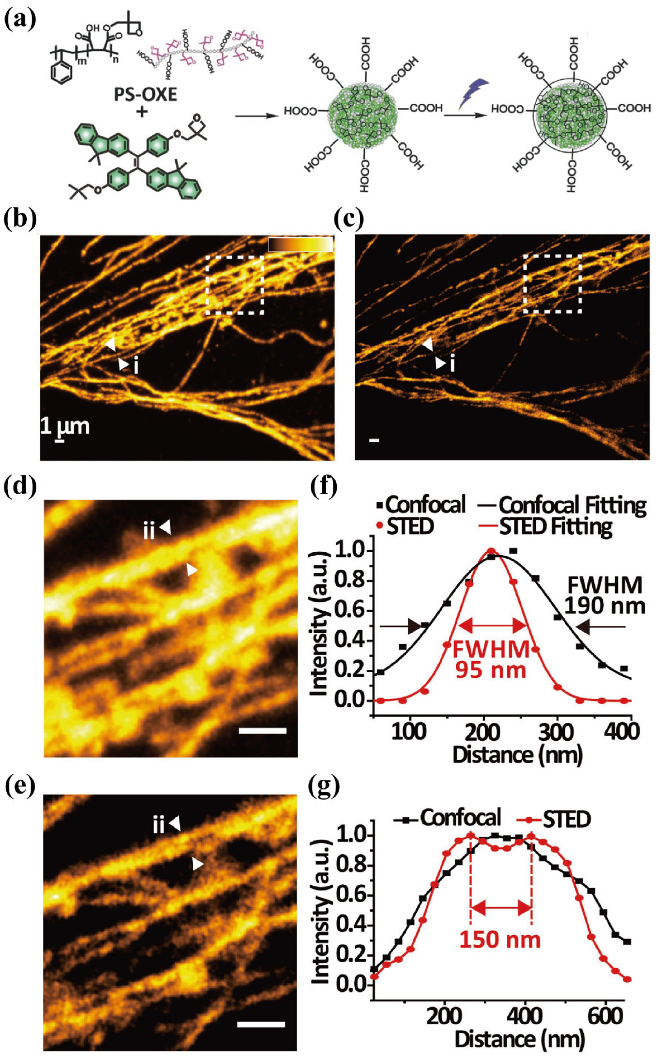 Biosensors 14 00314 g006