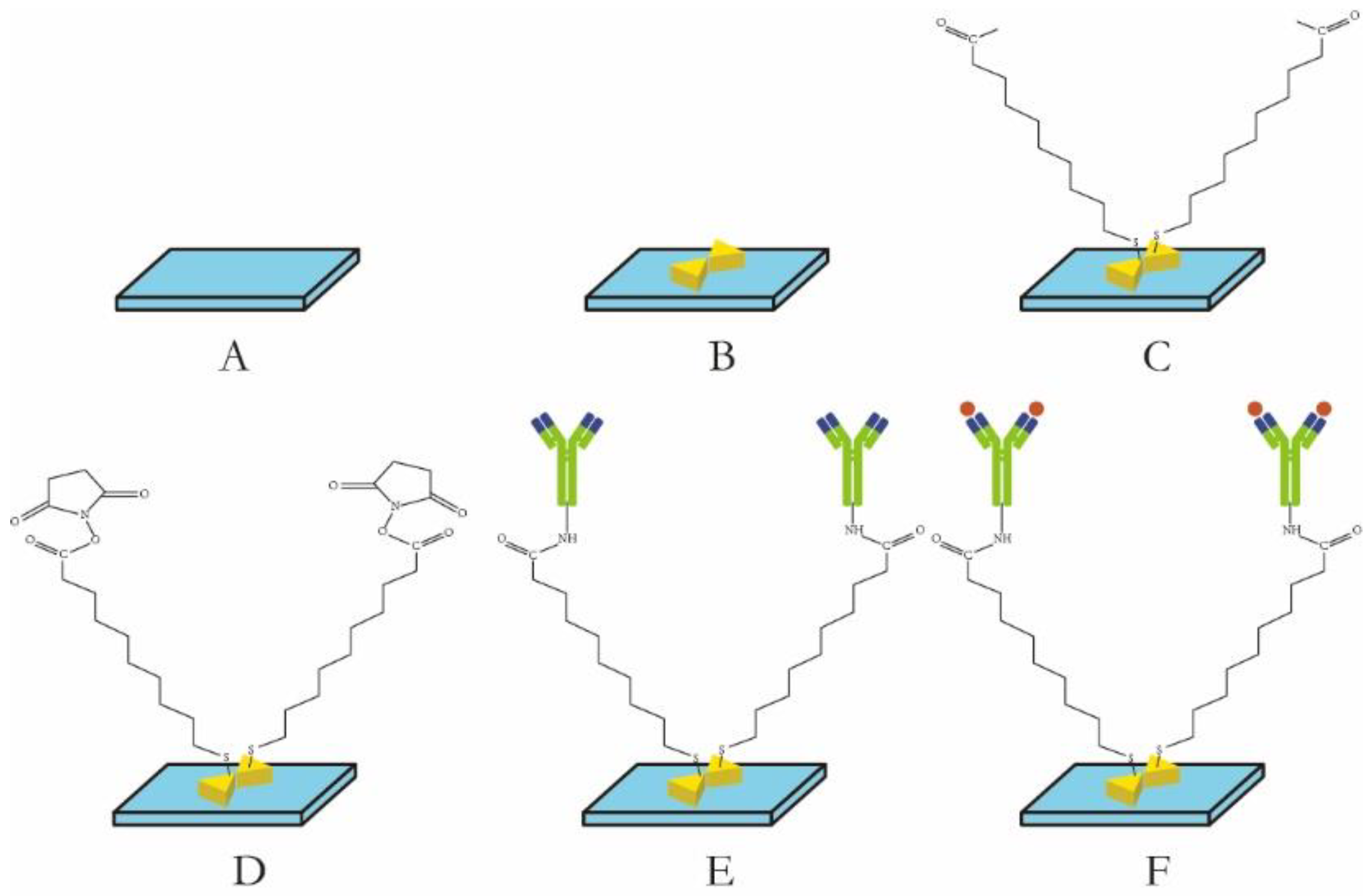 Biosensors 14 00317 g001