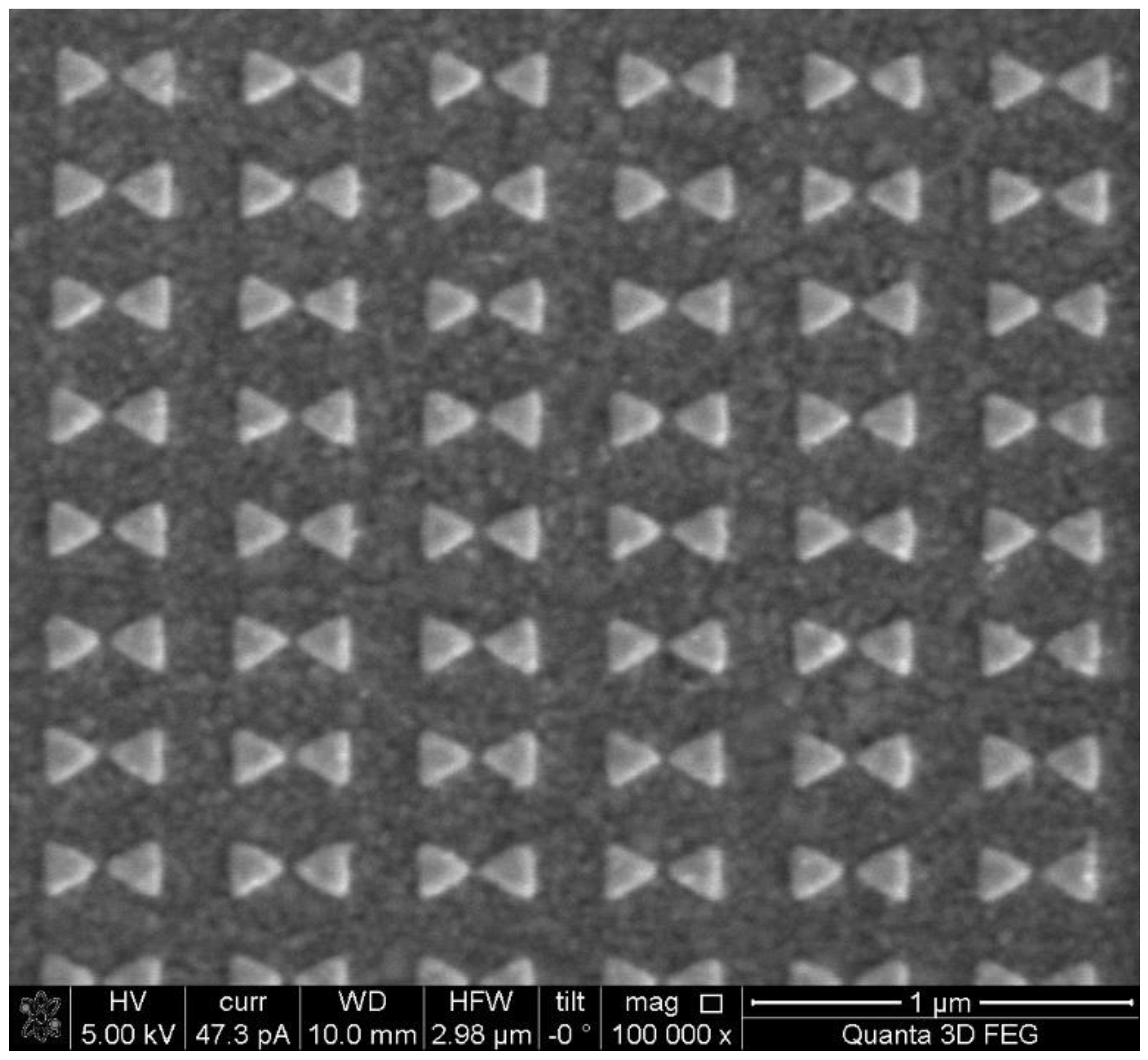 Biosensors 14 00317 g003