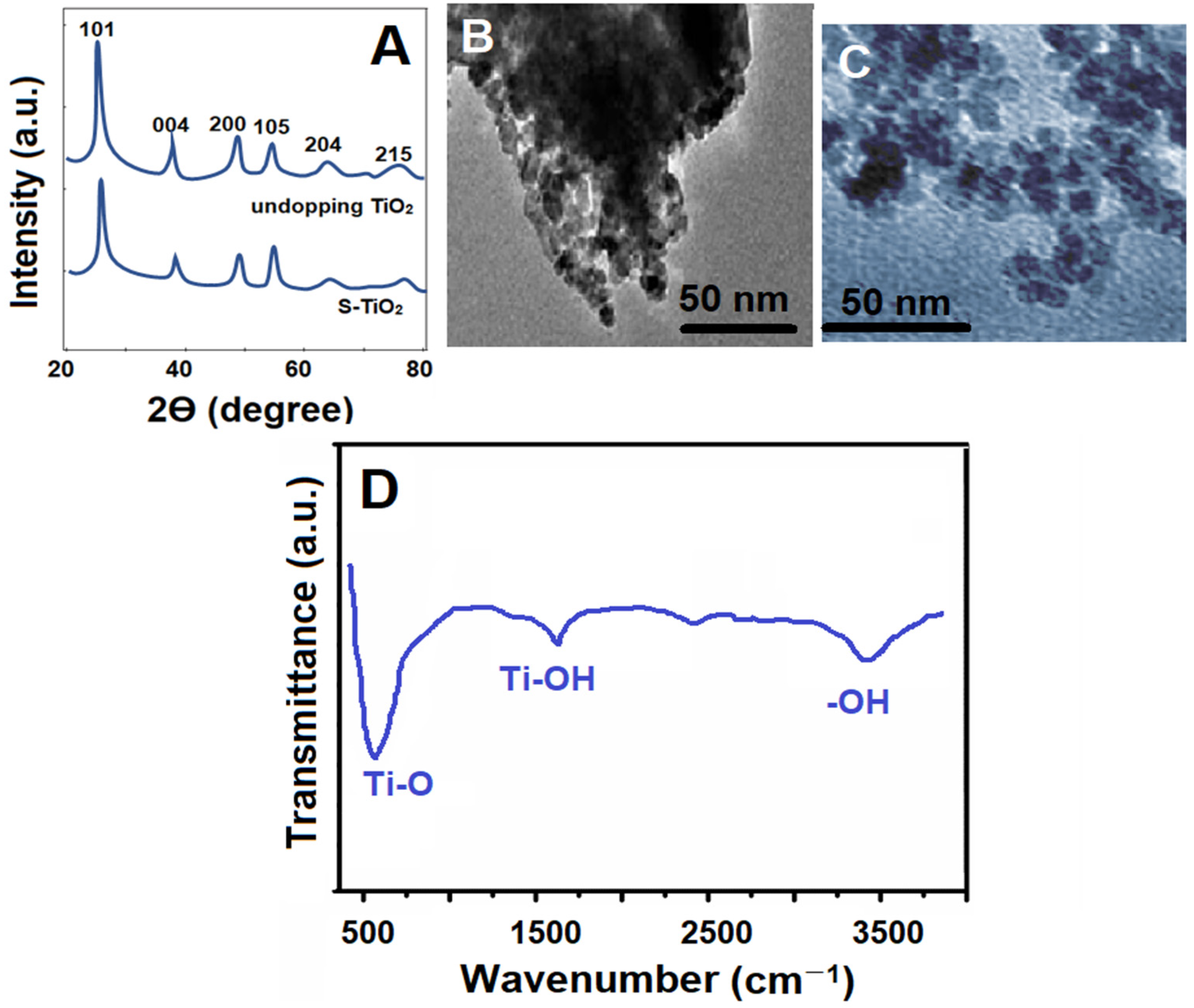 Biosensors 14 00329 g001