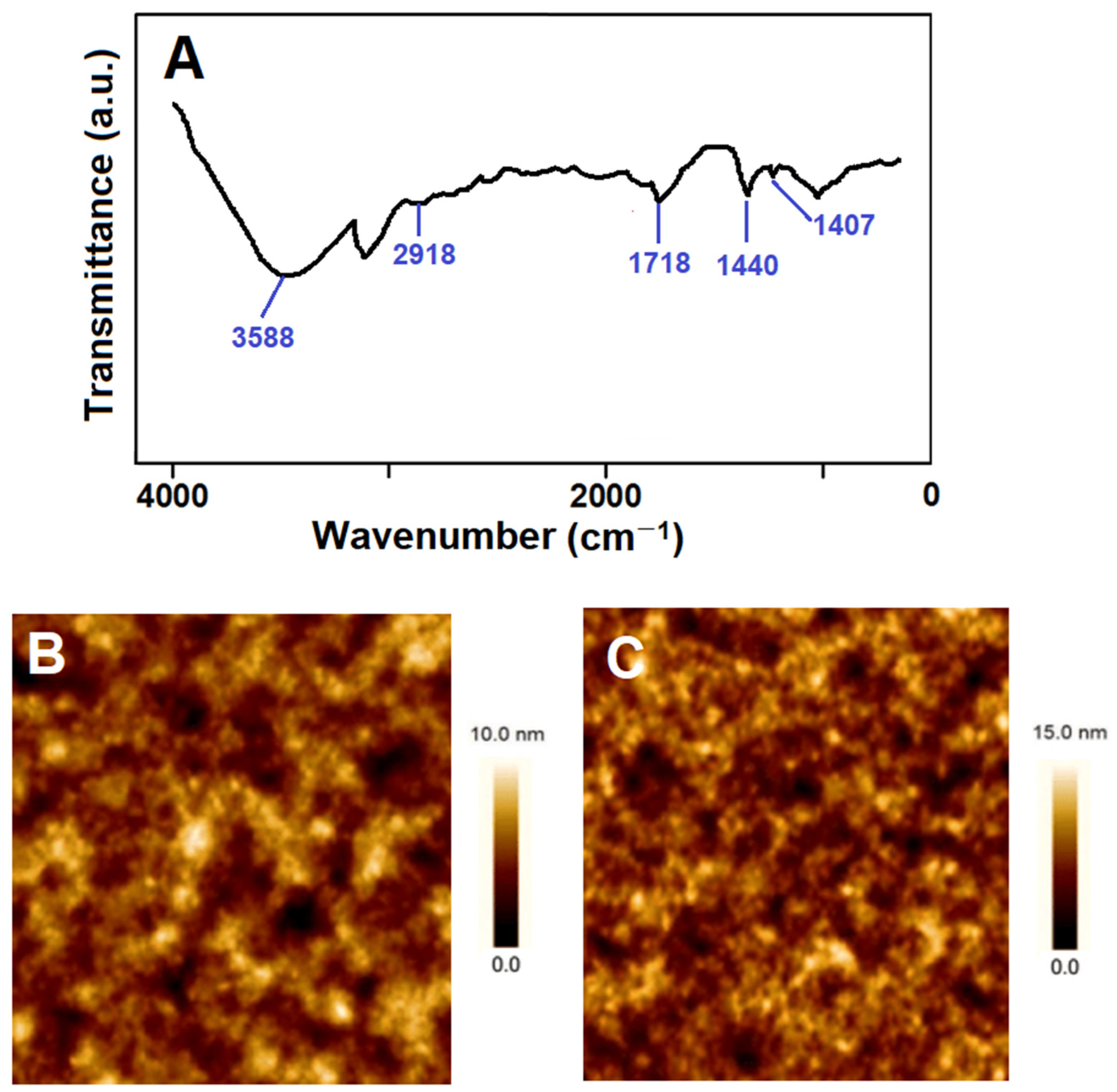 Biosensors 14 00329 g002