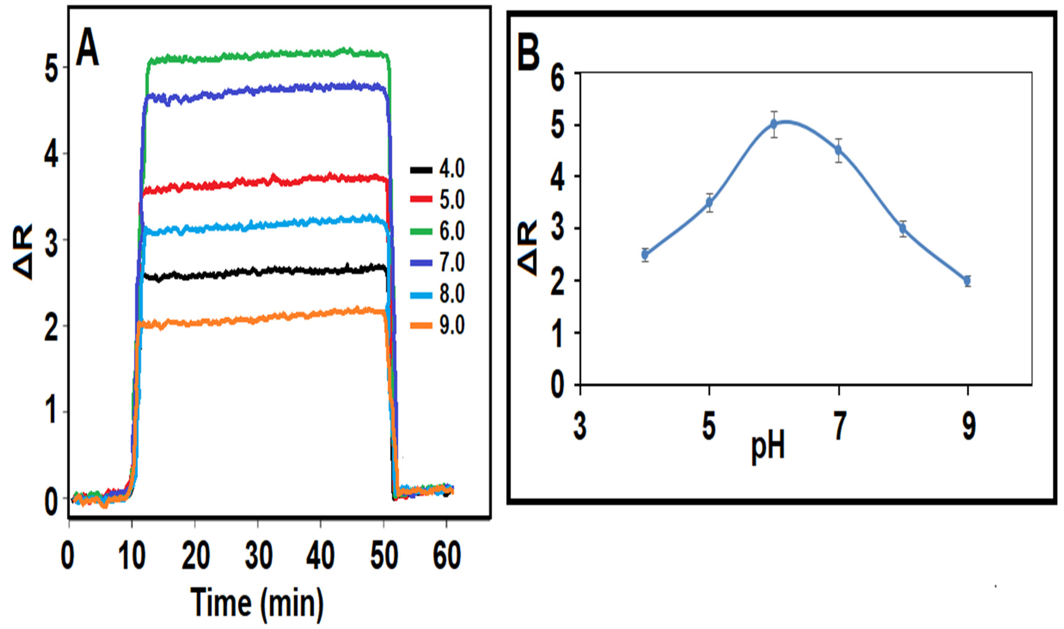 Biosensors 14 00329 g003