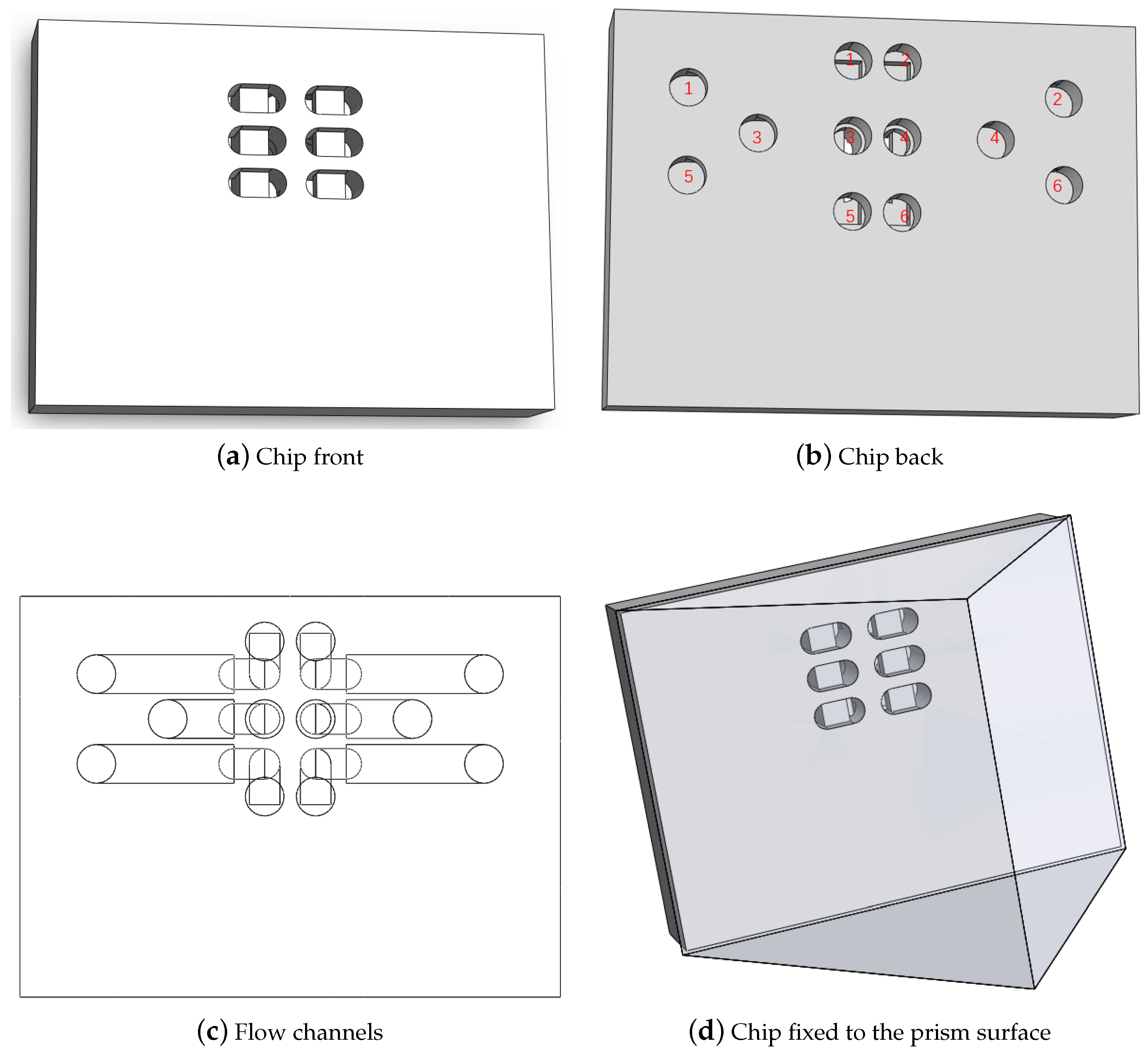 Biosensors 14 00332 g002 Biosensors 14 00332 g002