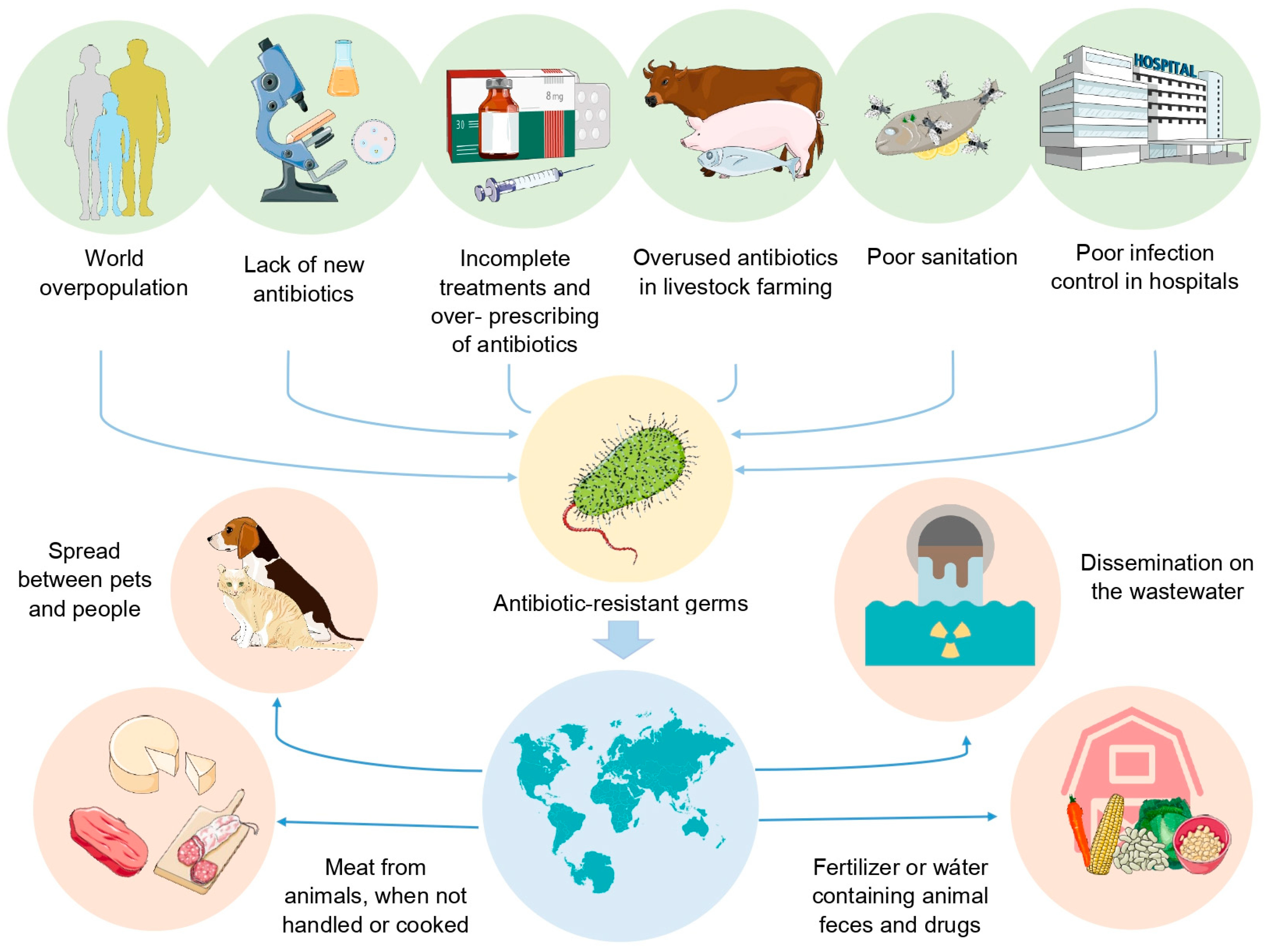 Biosensors 14 00339 g001