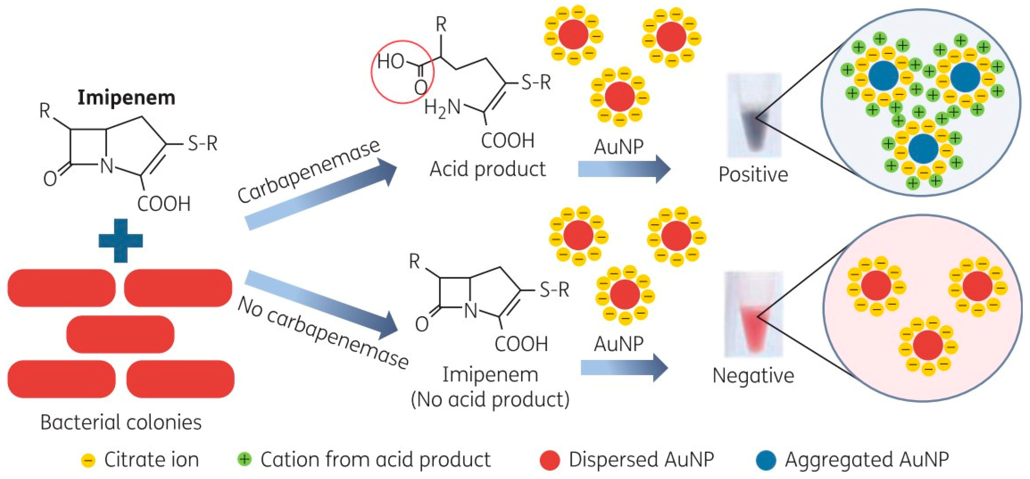 Biosensors 14 00339 g003