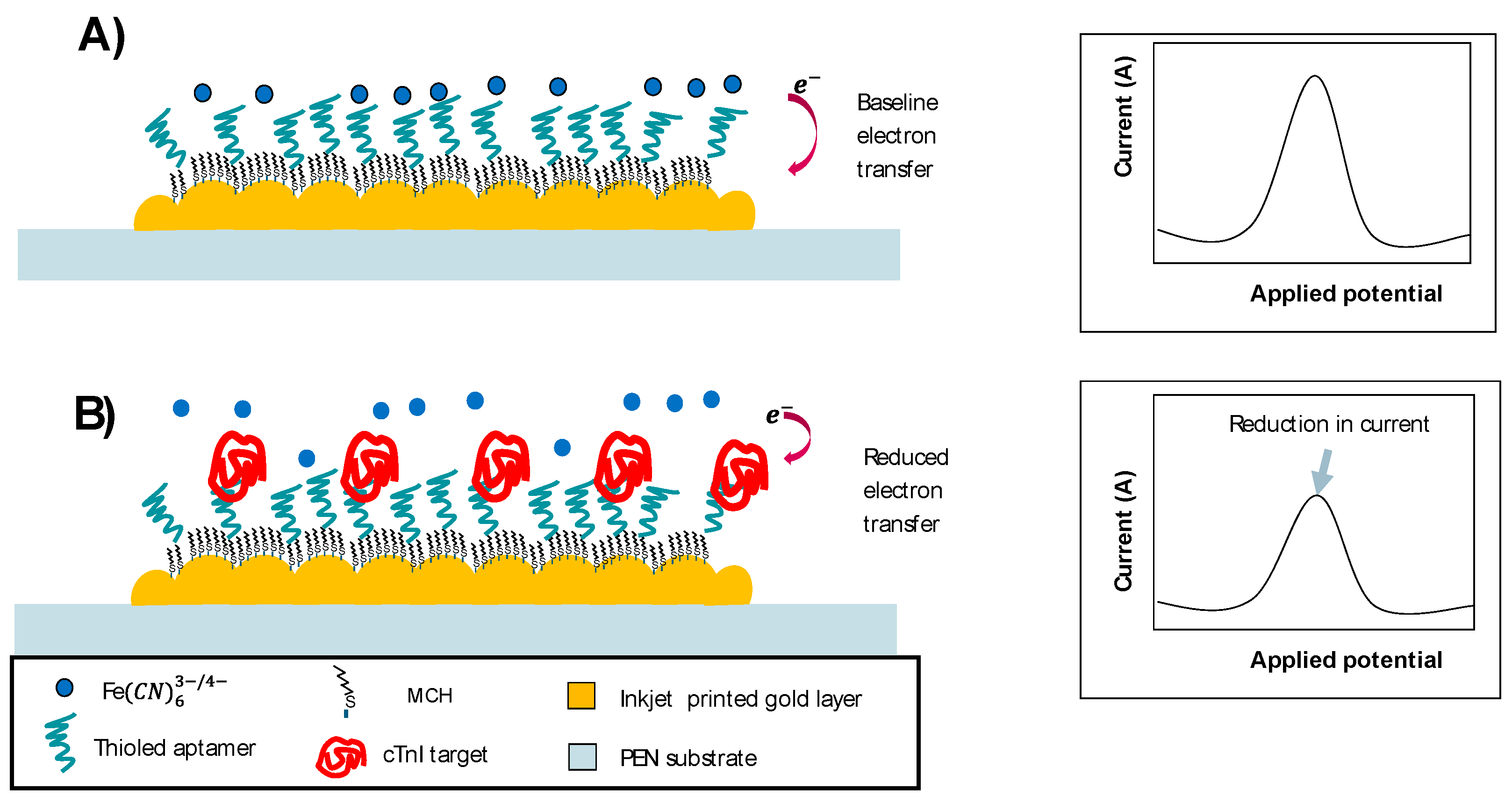 Biosensors 14 00341 g001