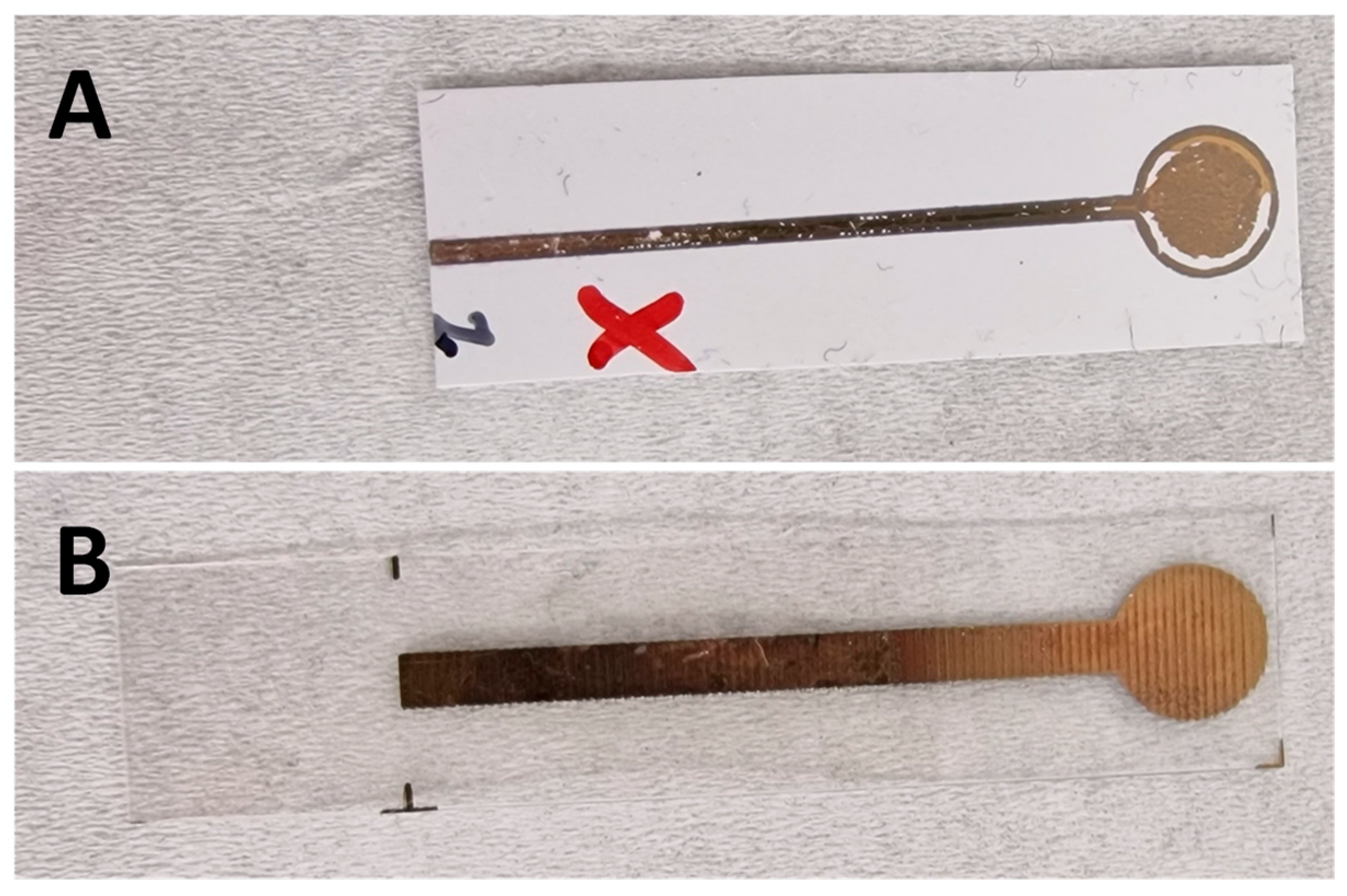 Biosensors 14 00341 g005