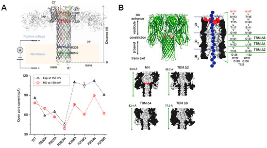 Biosensors 14 00345 g002
