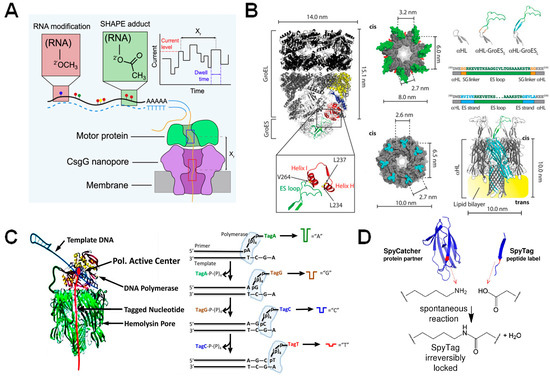 Biosensors 14 00345 g005