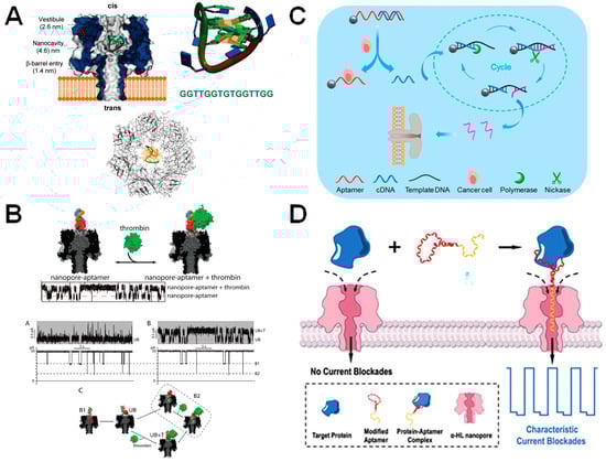 Biosensors 14 00345 g006