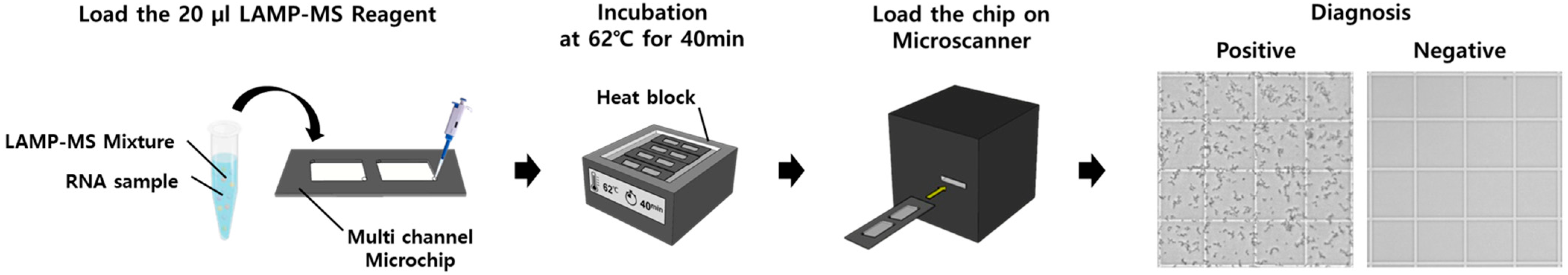 Biosensors 14 00348 g001