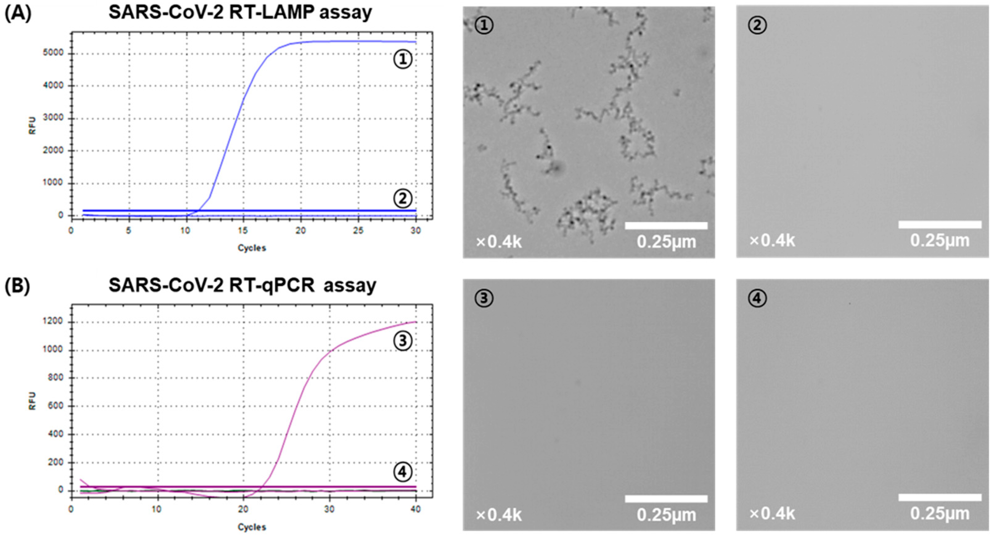 Biosensors 14 00348 g002