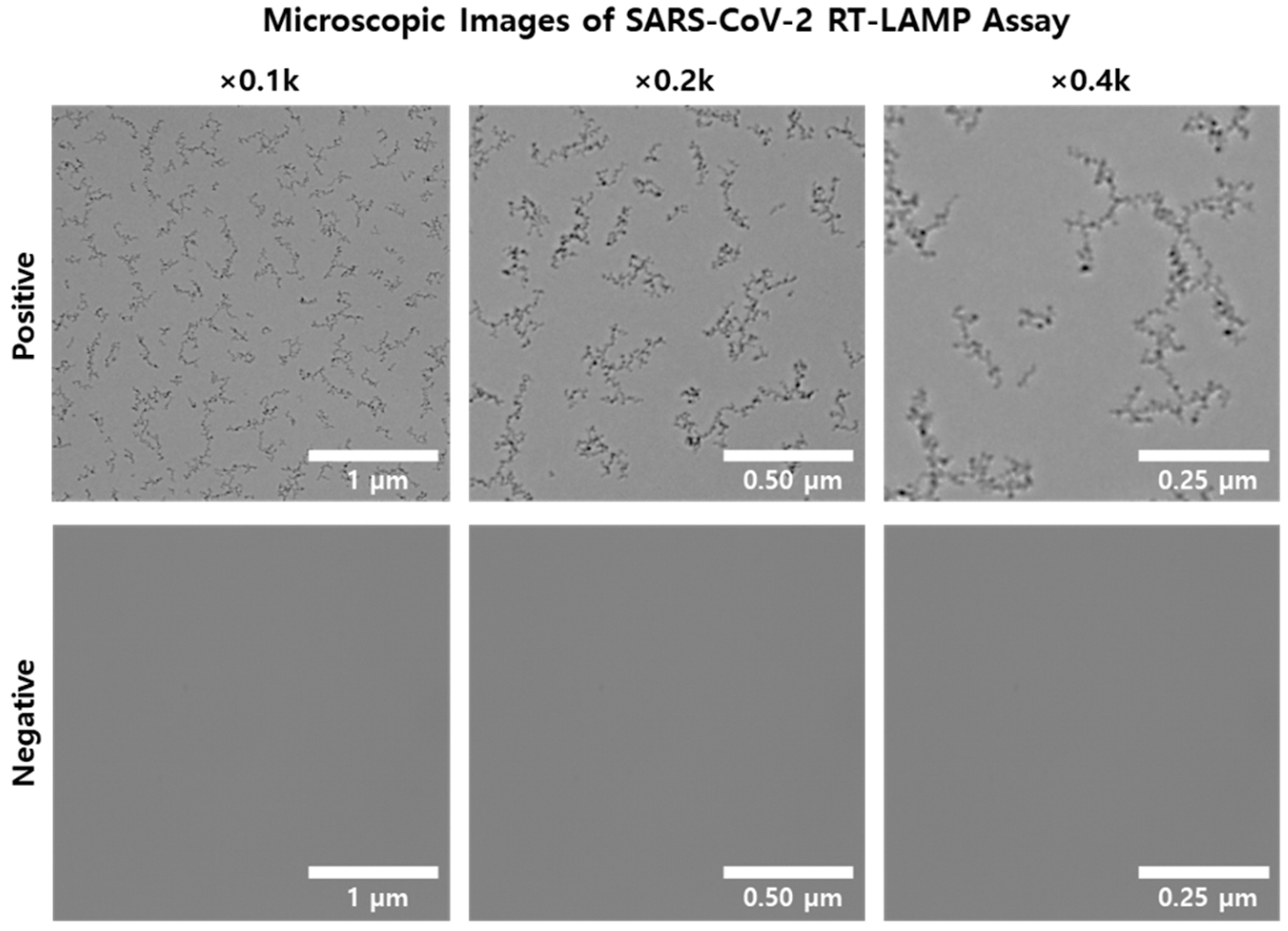 Biosensors 14 00348 g003